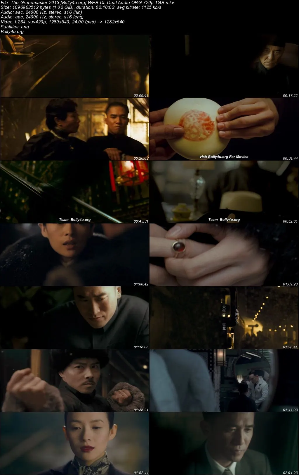 The Grandmaster 2013 WEB-DL Hindi Dual Audio ORG Full Movie Download 1080p  720p  480p