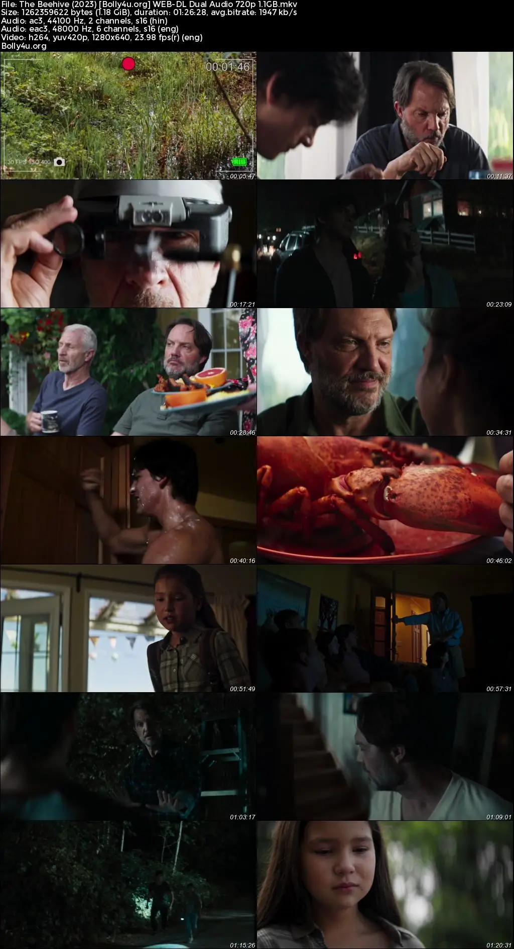 The Beehive 2023 WEB-DL Hindi Dual Audio Full Movie Download 720p  480p