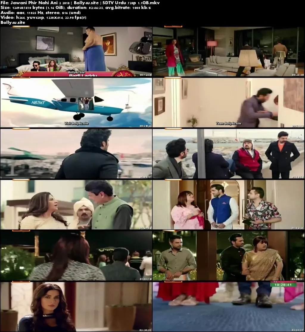 Jawani Phir Nahi Ani 2 2018 SDTV 450MB Urdu 480p Download