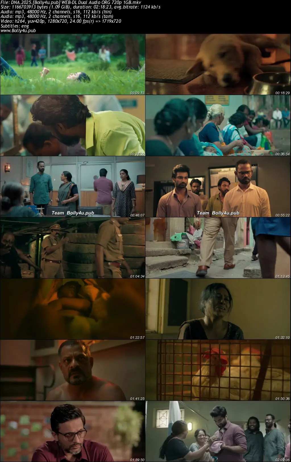 DNA 2025 WEB-DL UNCUT Hindi Dual Audio ORG Full Movie Download 1080p  720p  480p