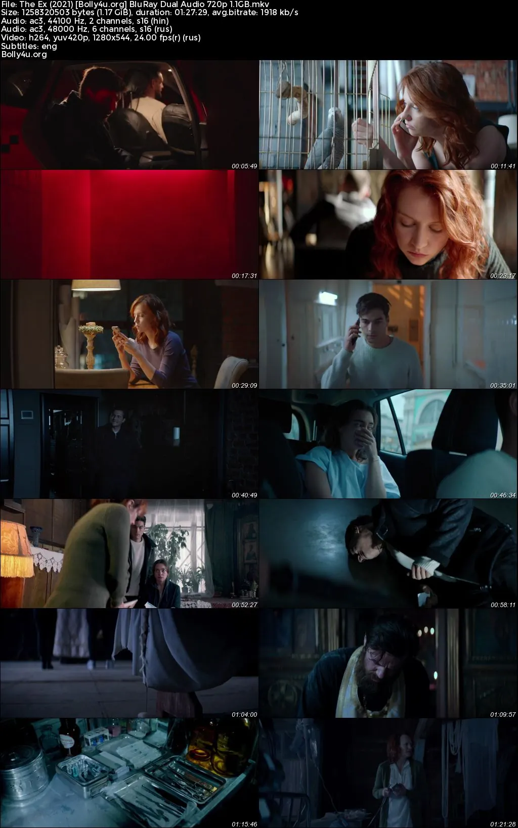 The Ex 2021 BluRay Hindi Dual Audio Full Movie Download 720p  480p