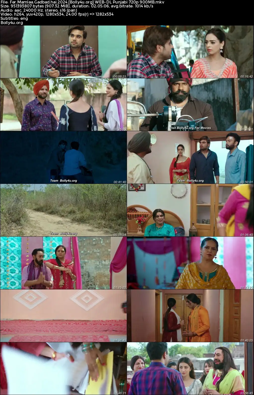 Fer Mamlaa Gadbad Hai 2024 WEB-DL Punjabi Full Movie Download 1080p  720p  480p