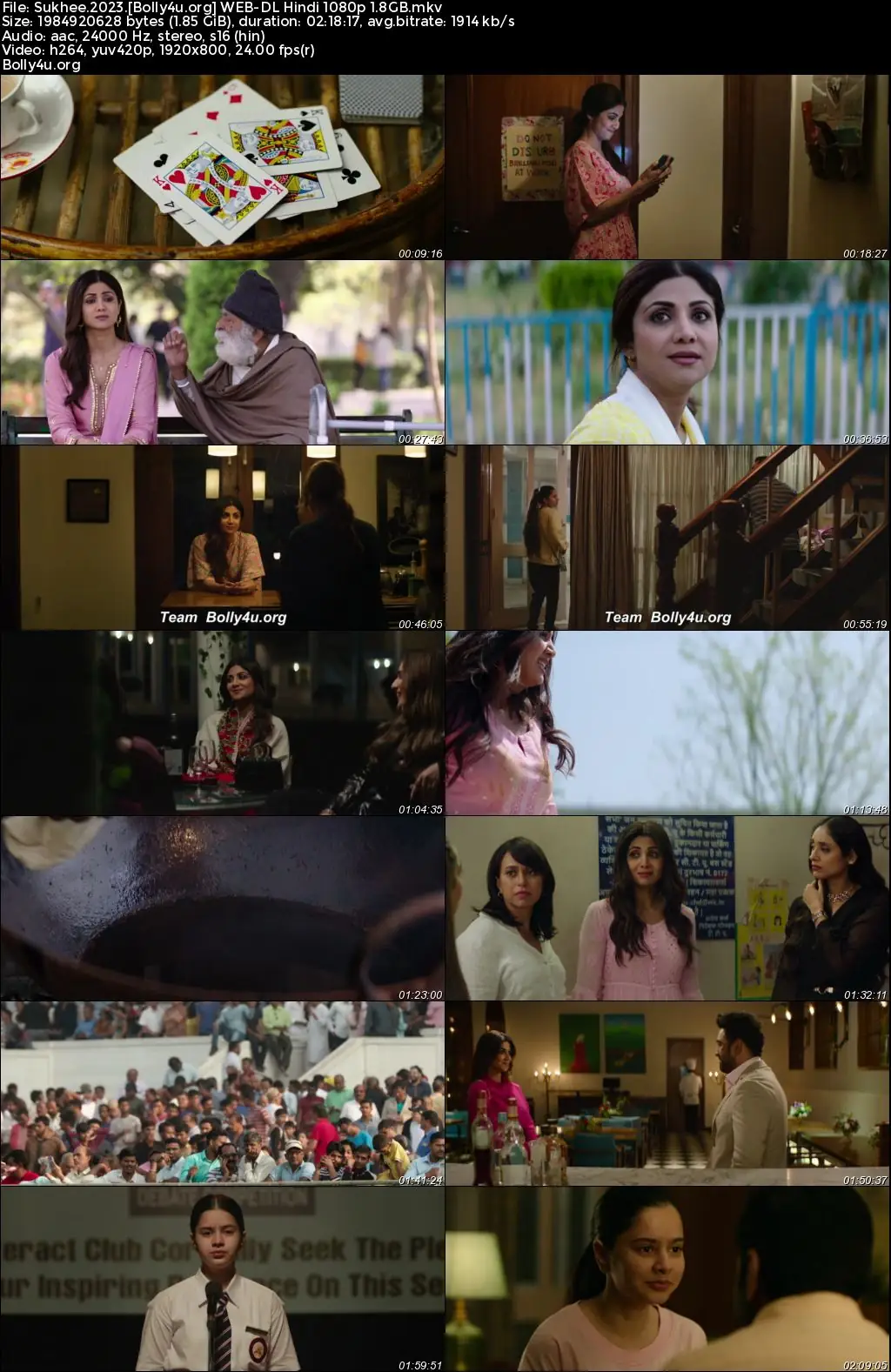 Sukhee 2023 WEB-DL Hindi Full Movie Download 1080p  720p  480p