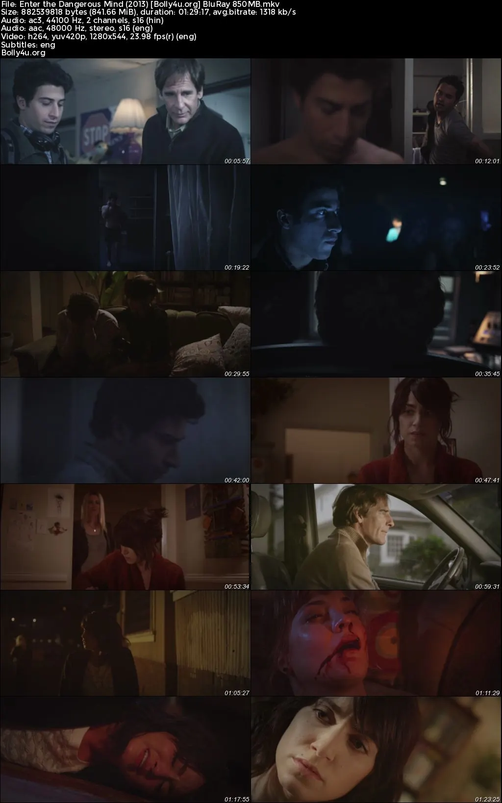 Enter the Dangerous Mind 2013 BluRay Hindi Dual Audio Full Movie Download 720p  480p