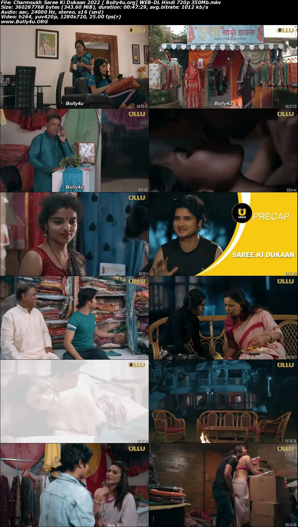 Charmsukh Saree Ki Dukaan 2022 WEB-DL Hindi 720p Download