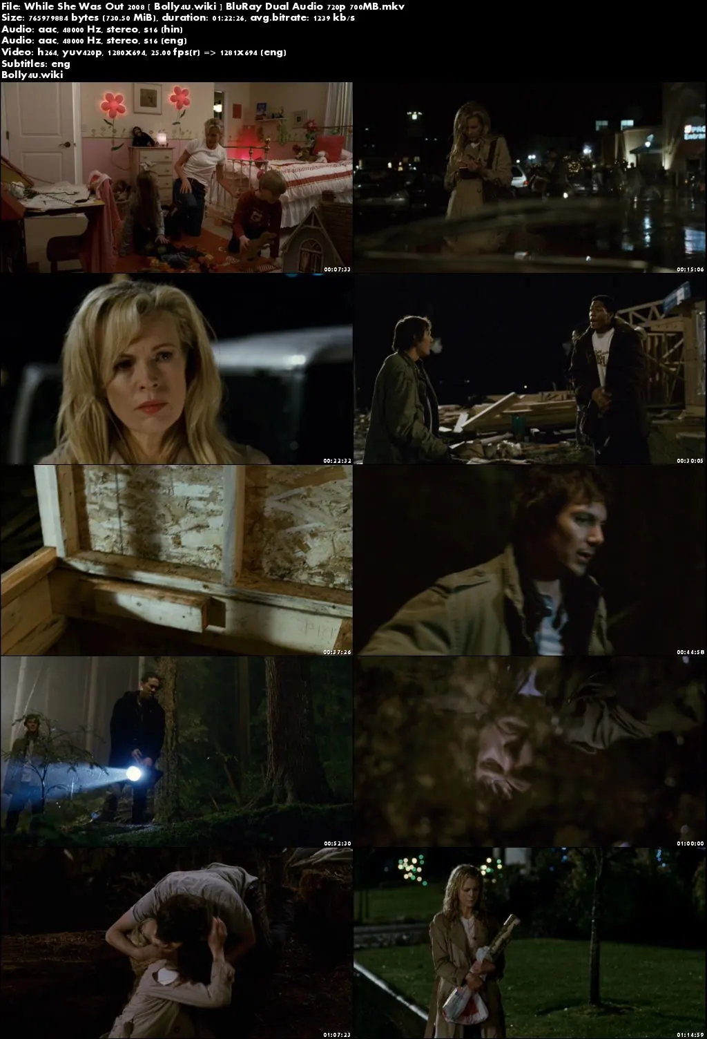 While She Was Out 2008 BluRay 250MB Hindi Dual Audio 480p Download
