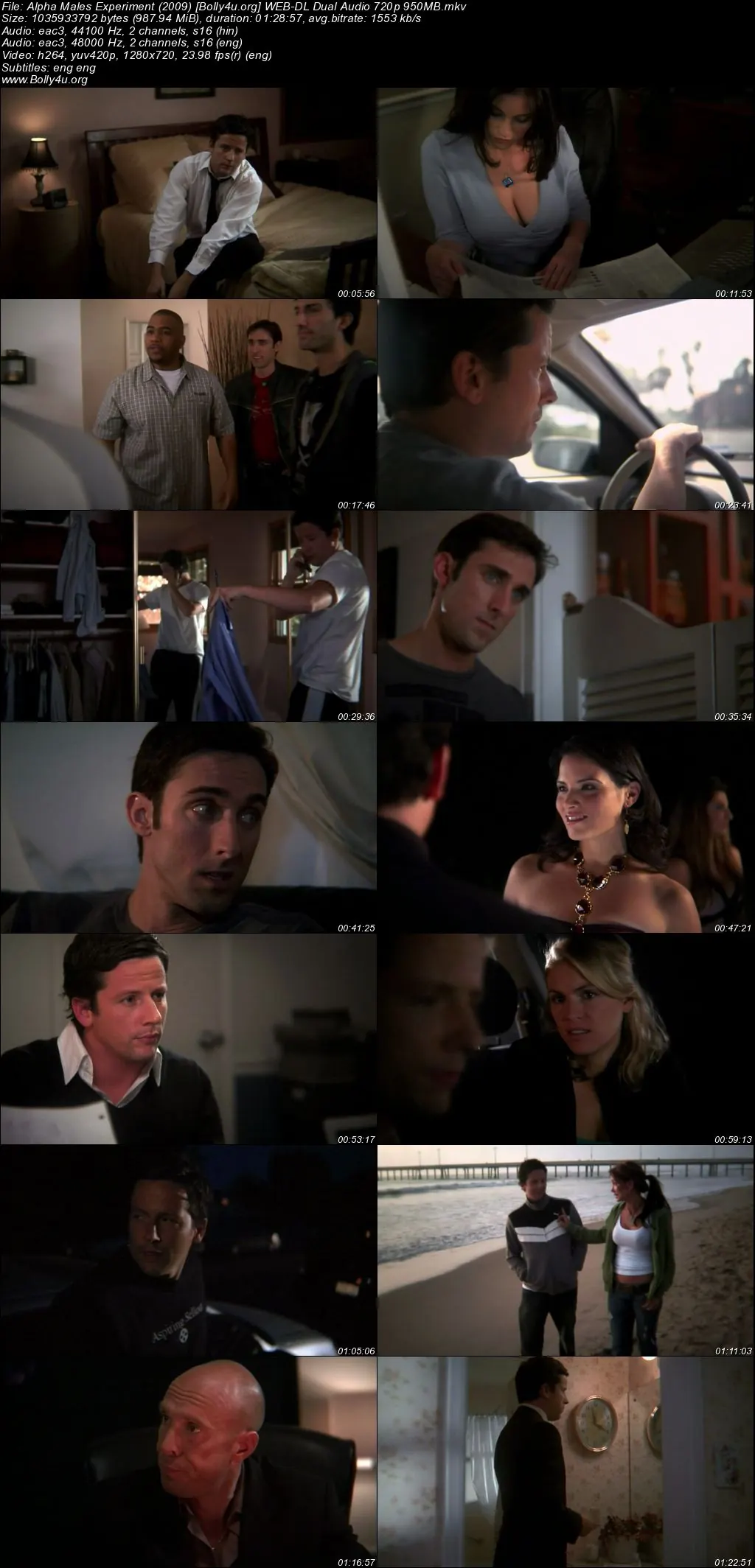 Alpha Males Experiment 2009 WEB-DL Hindi Dual Audio Full Movie Download 720p  480p