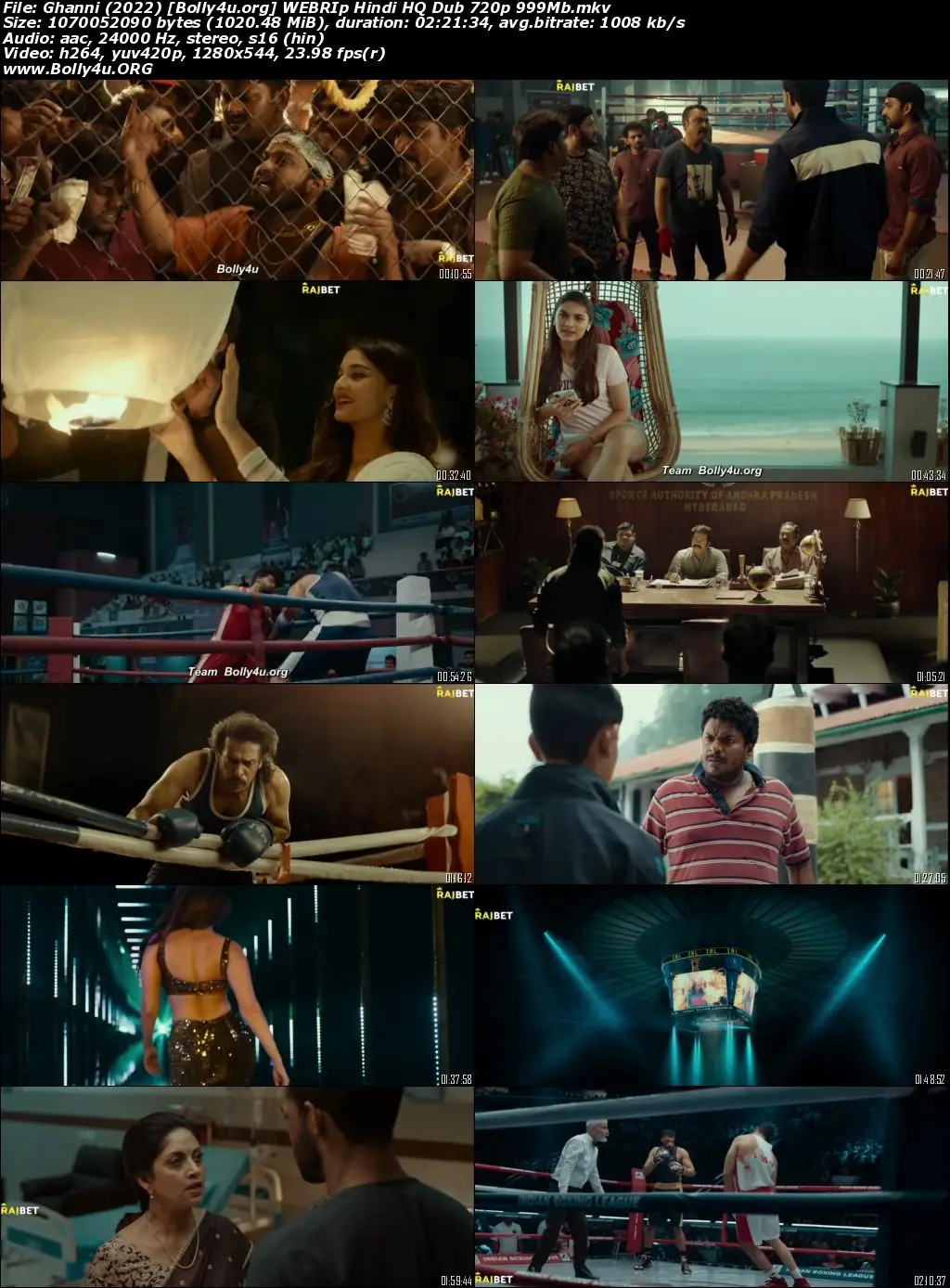 Ghanni 2022 WEB-DL Hindi HQ Dubbed Full Movie Download