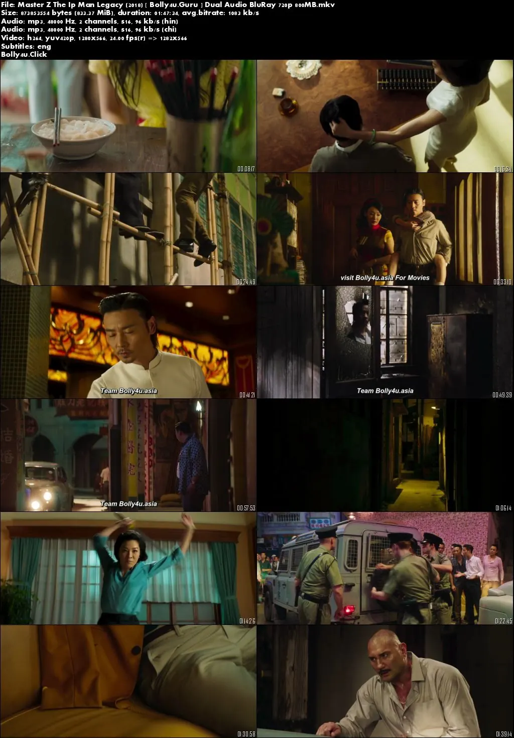 Master Z The Ip Man Legacy 2018 BluRay 300MB Hindi Dual Audio 480p Download