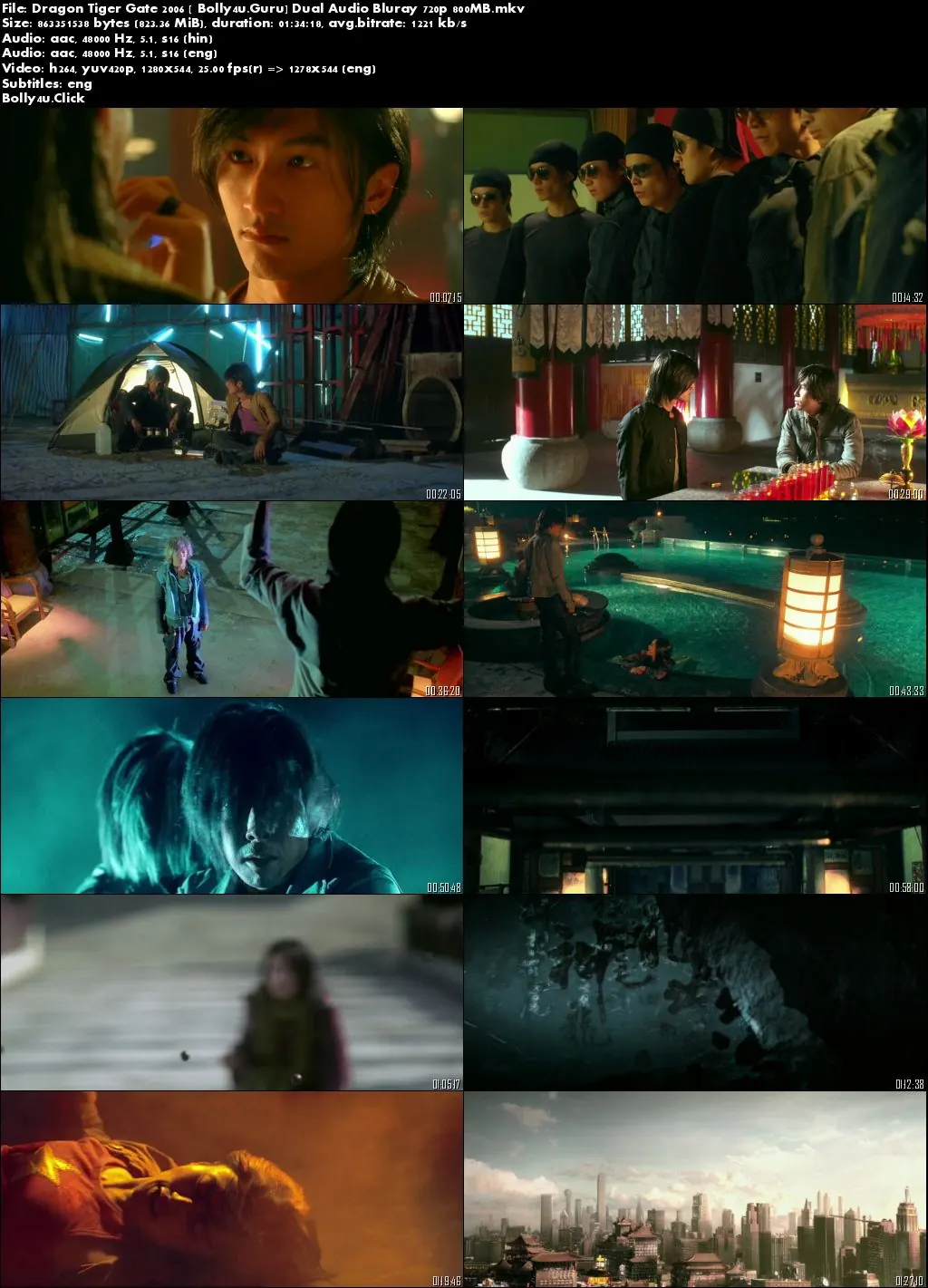 Dragon Tiger Gate 2006 BRRip 300Mb Hindi Dual Audio 480p Download