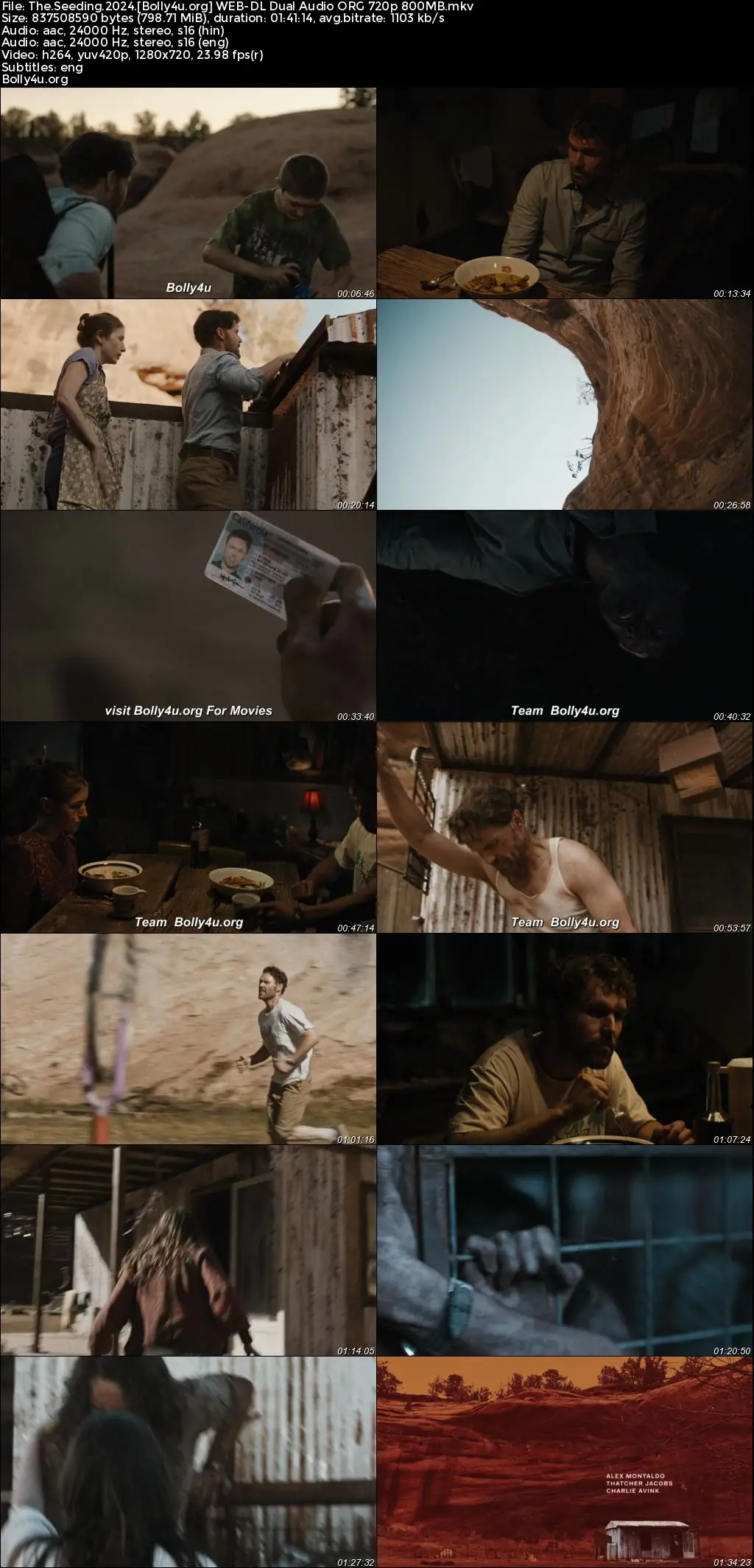 The Seeding 2024 WEB-DL Hindi Dual Audio ORG Full Movie Download 1080p  720p  480p