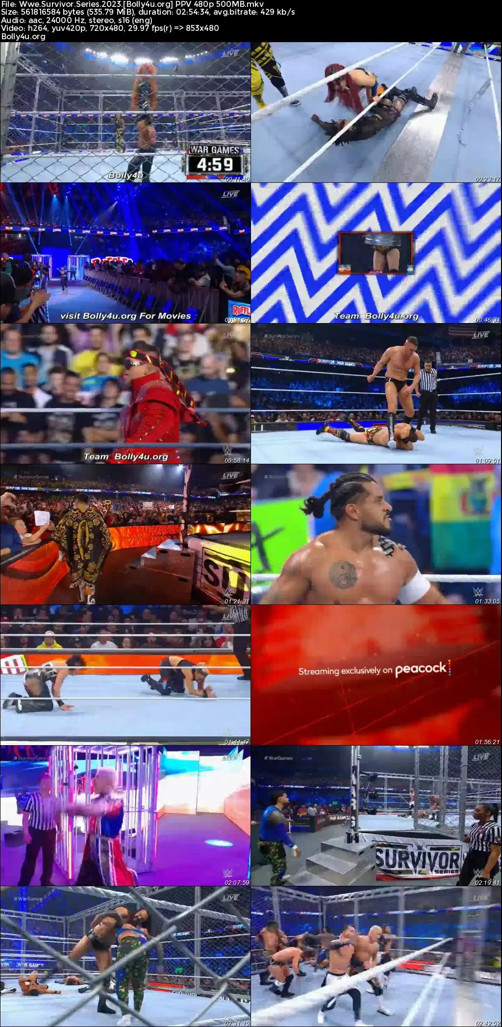 WWE Survivor Series 2023 WEB-DL PPV 480p 720p Download
