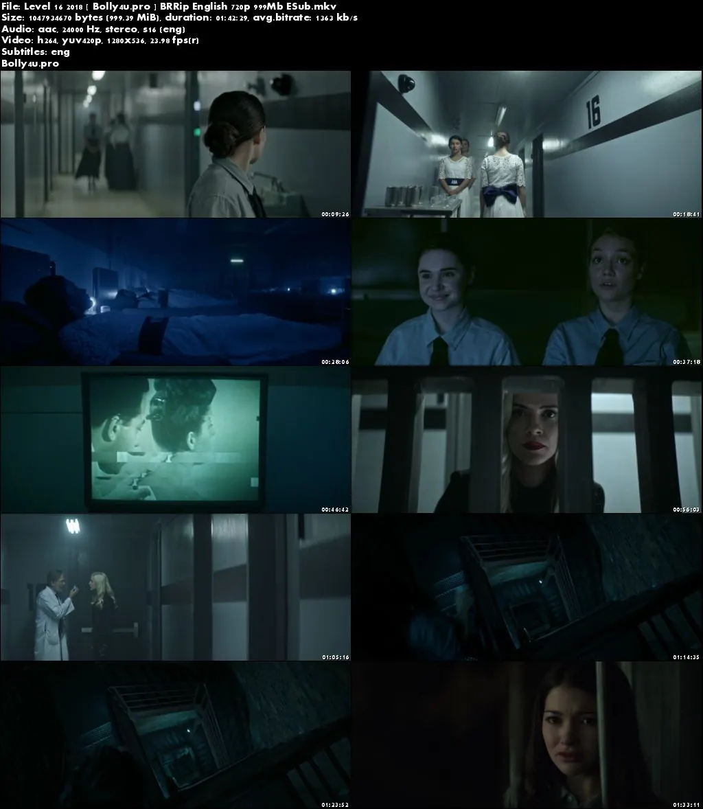 Level 16 2018 BRRip 300Mb English 480p ESub Download