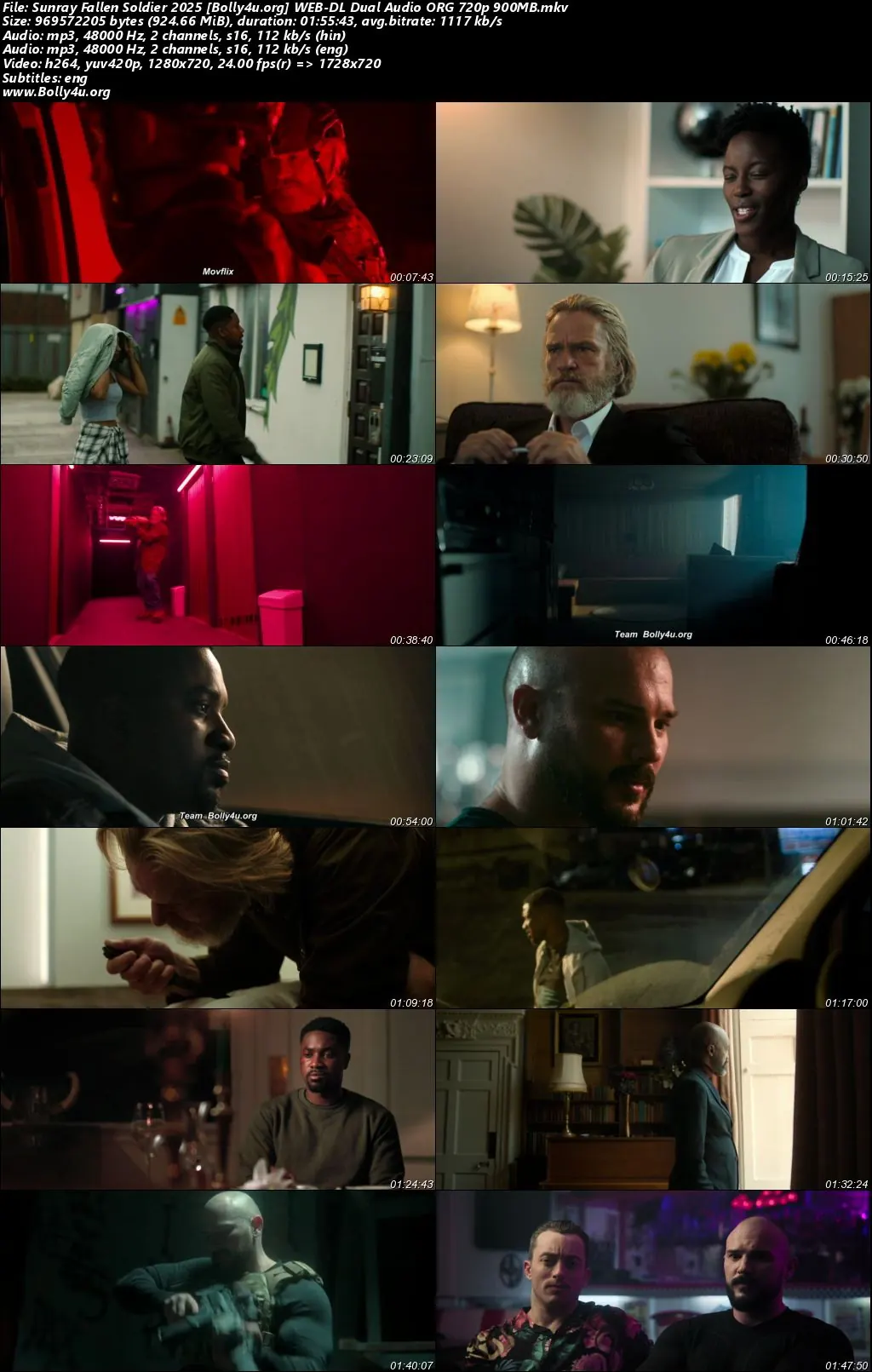 Sunray Fallen Soldier 2025 WEB-DL Hindi Dual Audio ORG Full Movie Download 1080p  720p  480p