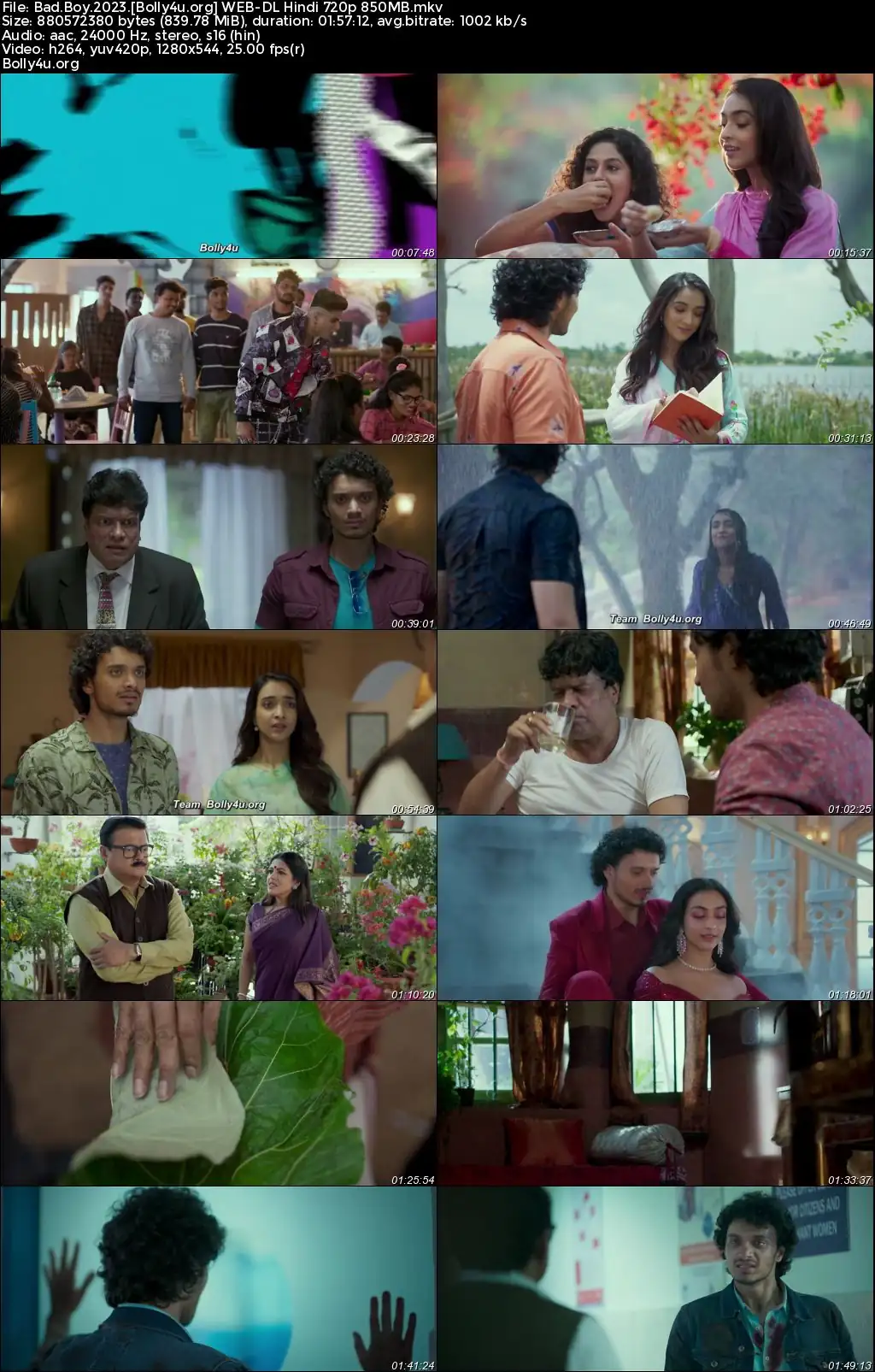 Bad Boy 2023 WEB-DL Hindi Full Movie Download 1080p  720p  480p