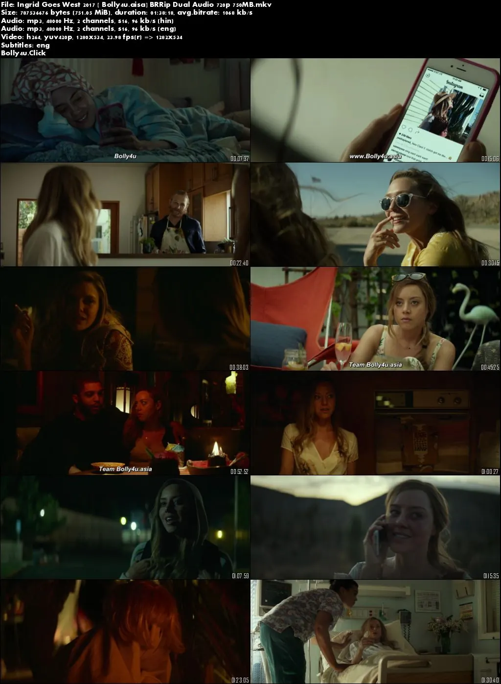 Ingrid Goes West 2017 BRRip 750MB Hindi Dual Audio 720p Download