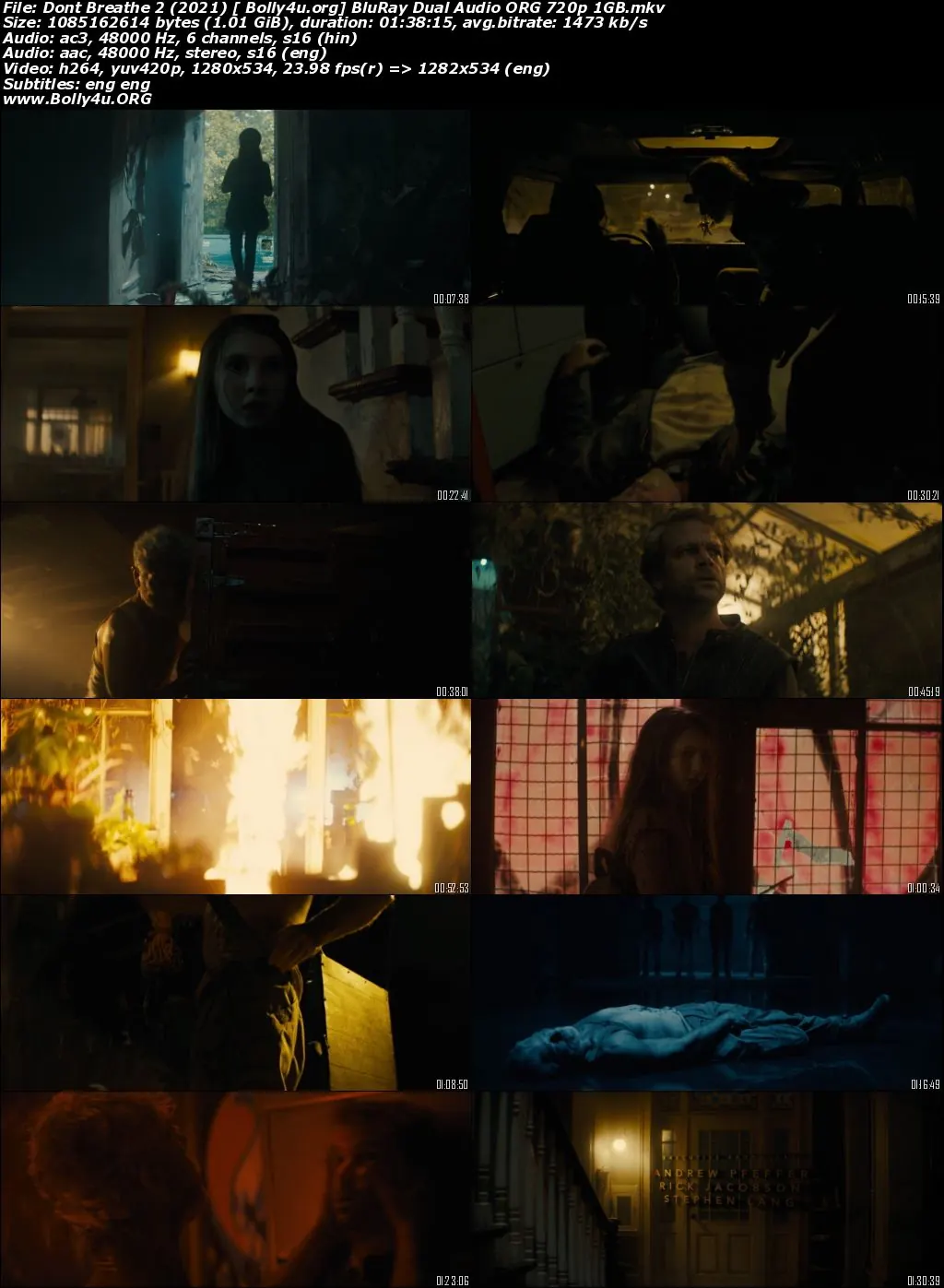 Dont Breathe 2 2021 BluRay 350MB Hindi Dual Audio ORG 480p ESubs Download