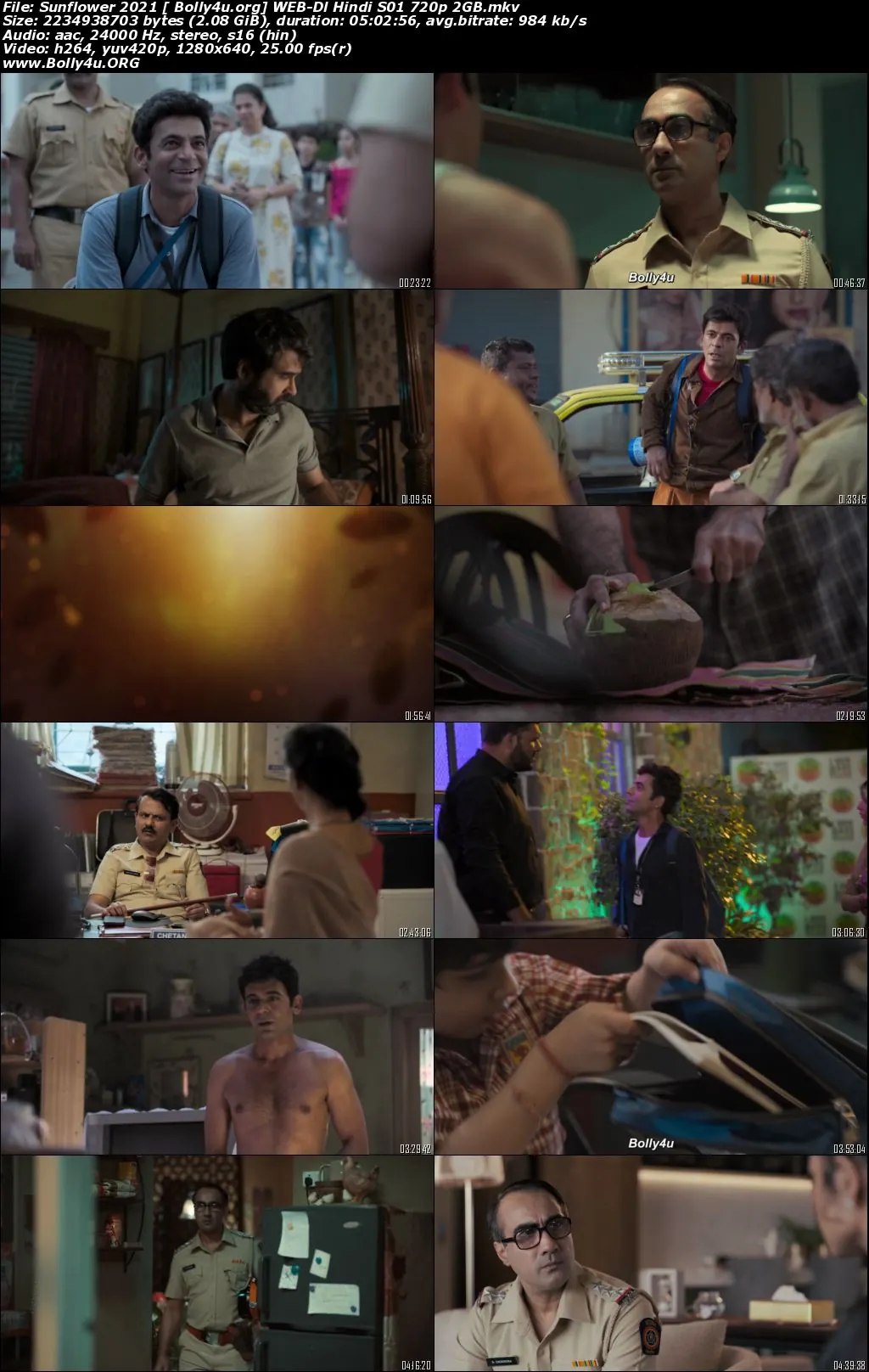 Sunflower 2021 WEB-DL 900Mb Hindi S01 Complete Download 480p