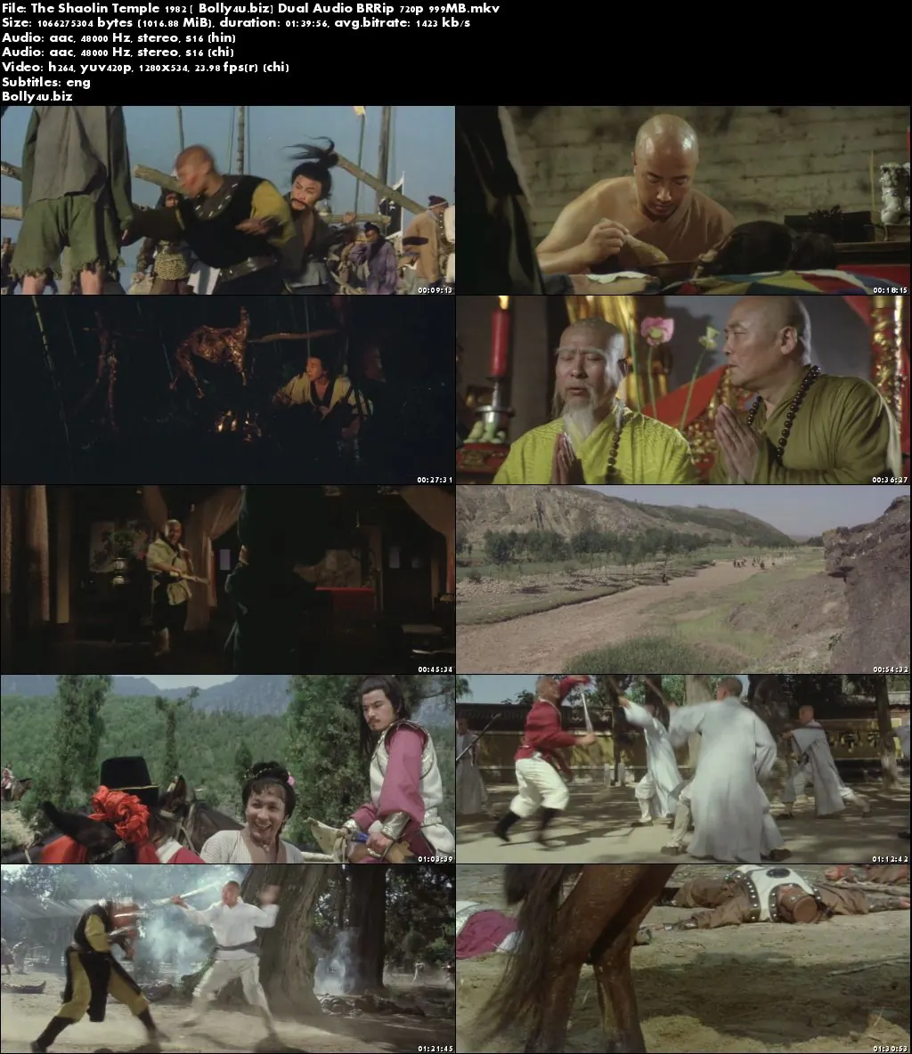 The Shaolin Temple 1982 BRRip 300Mb Hindi Dual Audio 480p Download