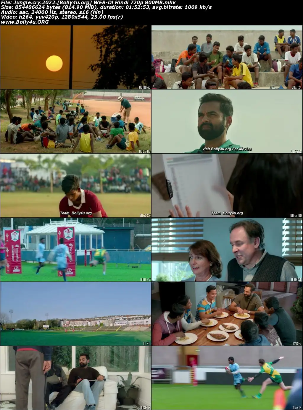 Jungle Cry 2022 WEB-DL Hindi Movie Download 720p  480p