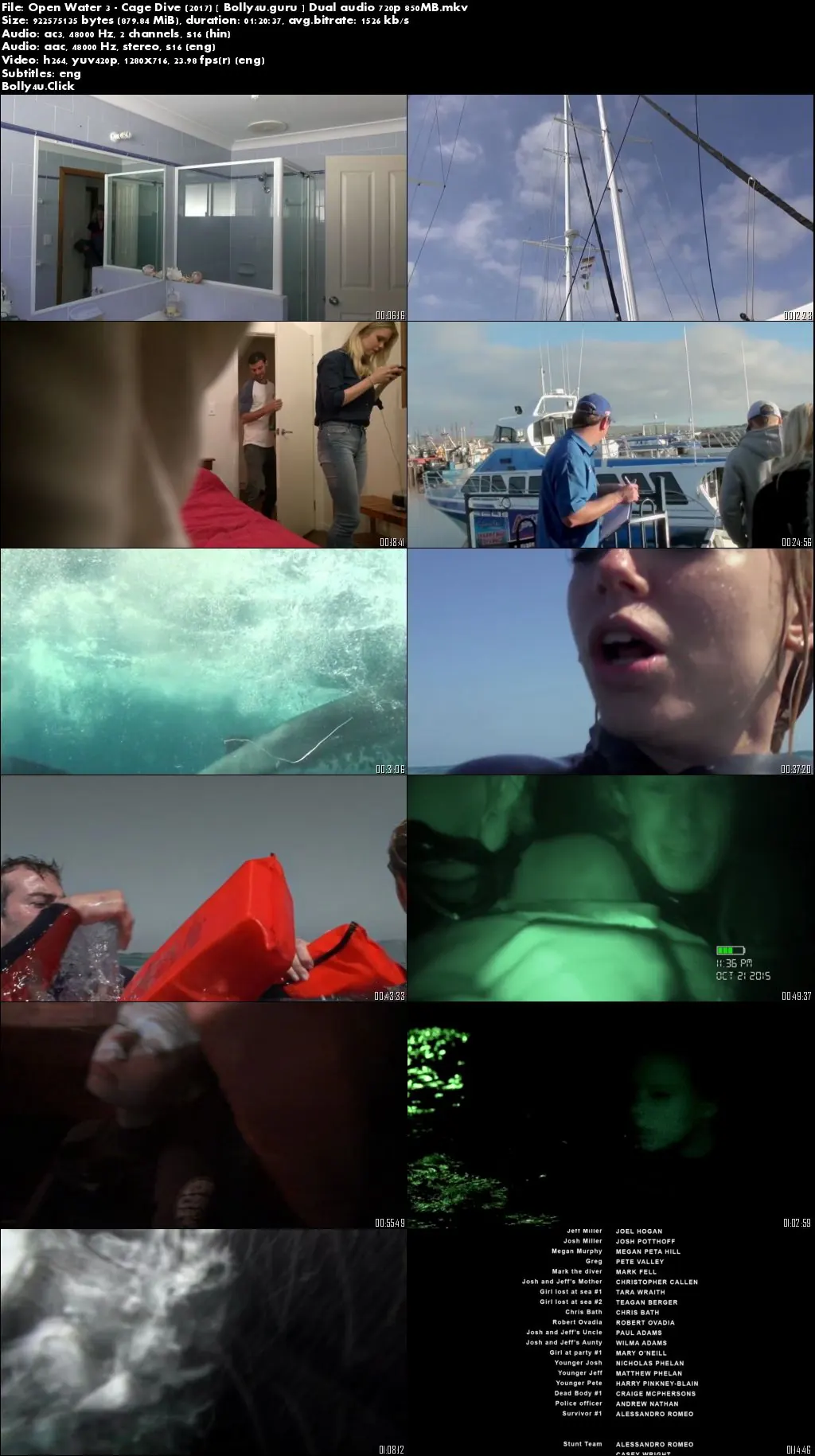 Open Water 3 Cage Dive 2017 BRRip 250Mb Hindi Dual Audio 480p Download