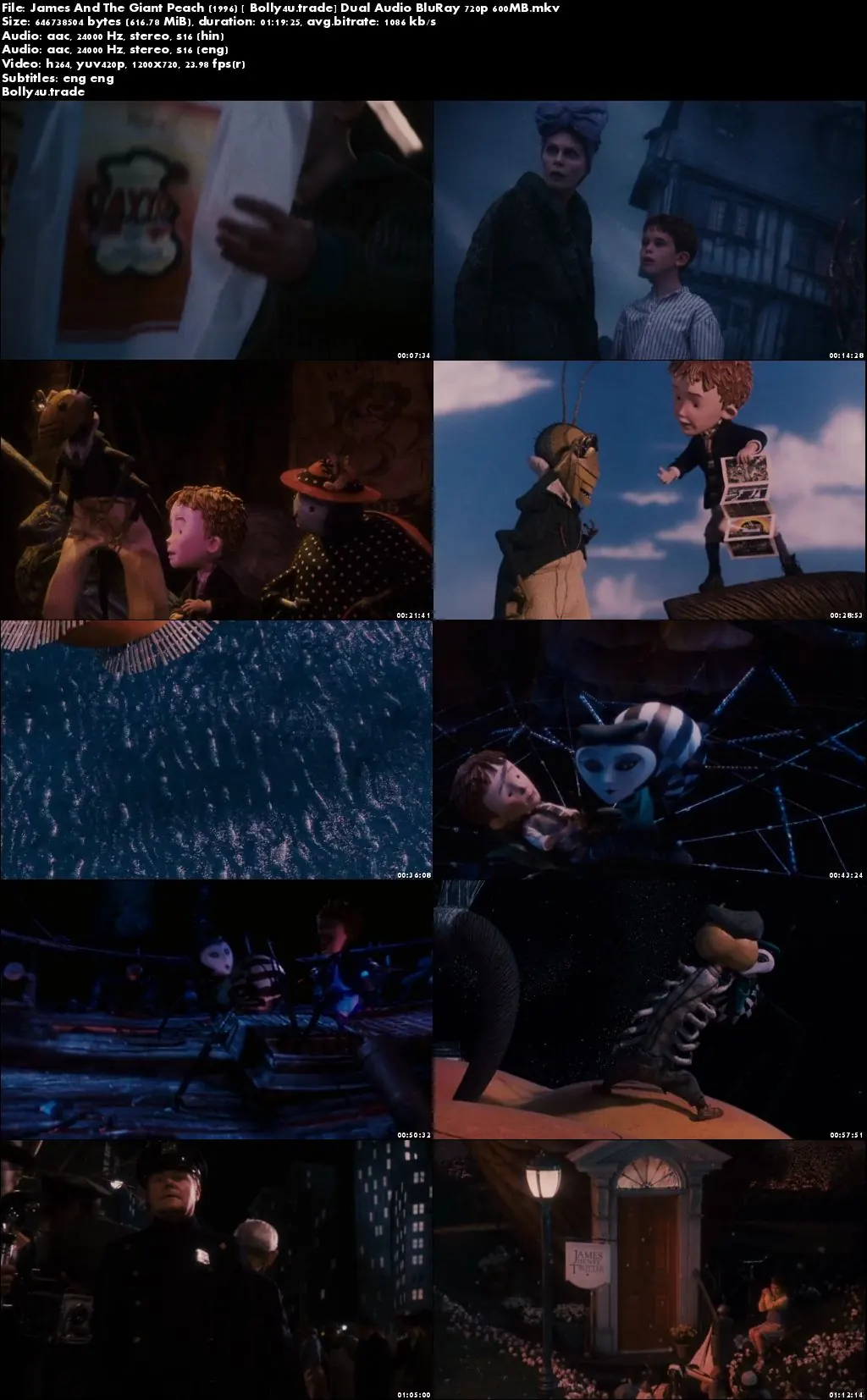 James And The Giant Peach 1996 BRRip 600MB Hindi Dual Audio 720p Download