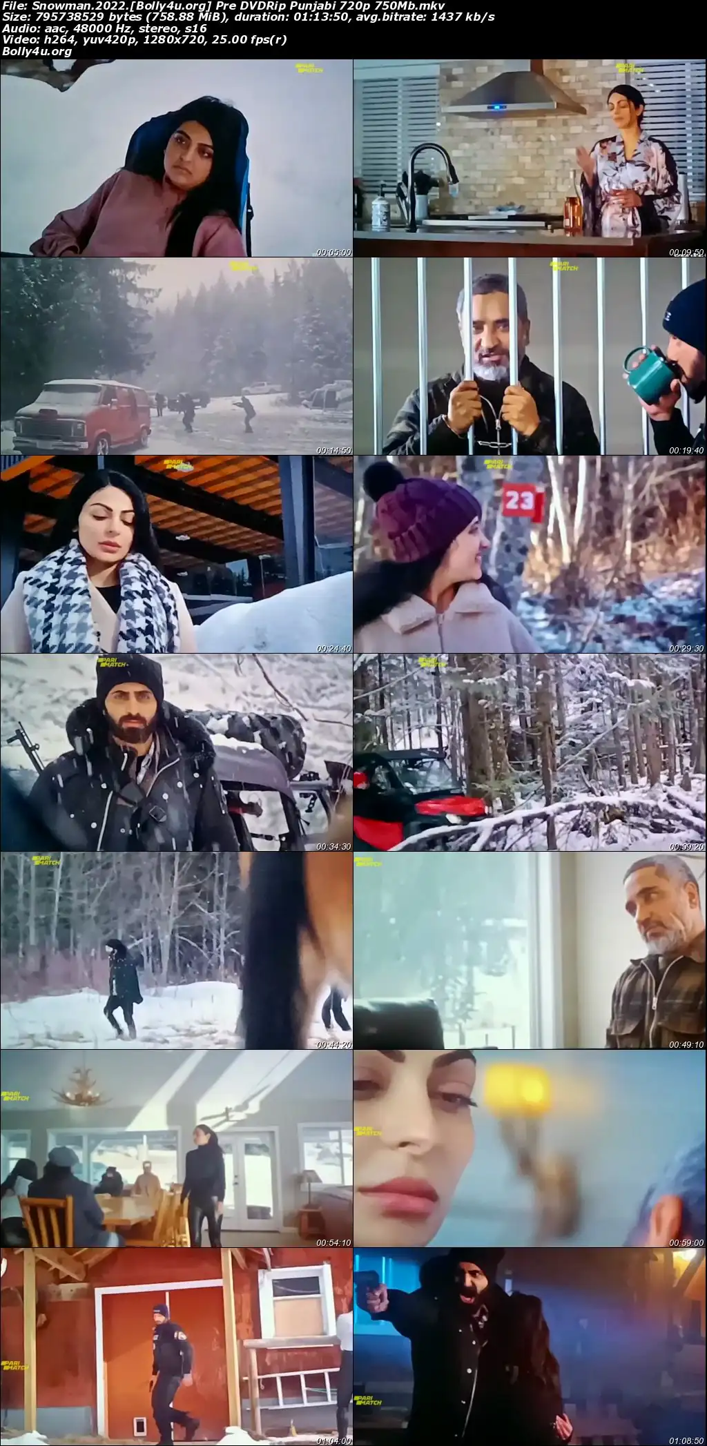 Snowman 2022 Pre DVDRip Hindi Full Movie Download 720p  480p
