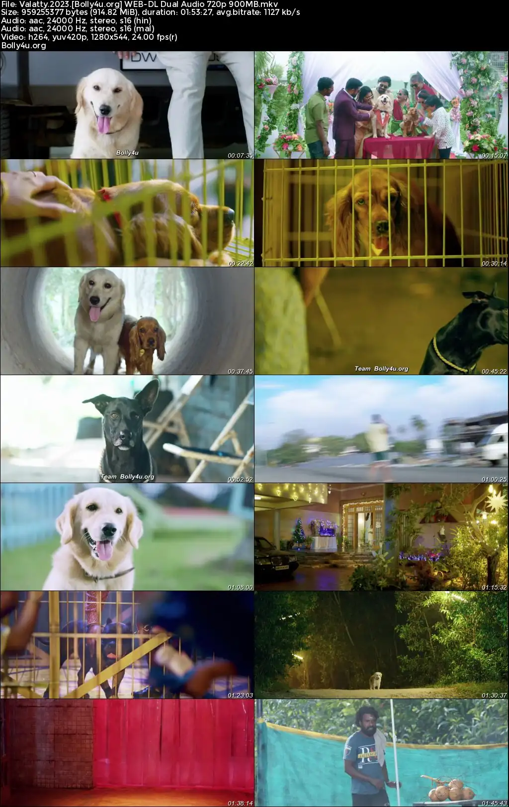 Valatty 2023 WEB-DL Hindi Dual Audio ORG Full Movie Download 1080p  720p  480p