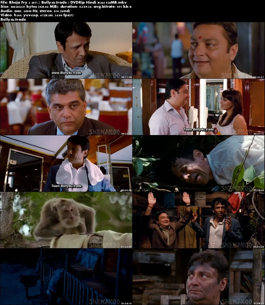 Bheja Fry 2 2011 DVDRip 350MB Full Hindi Movie Download 480p