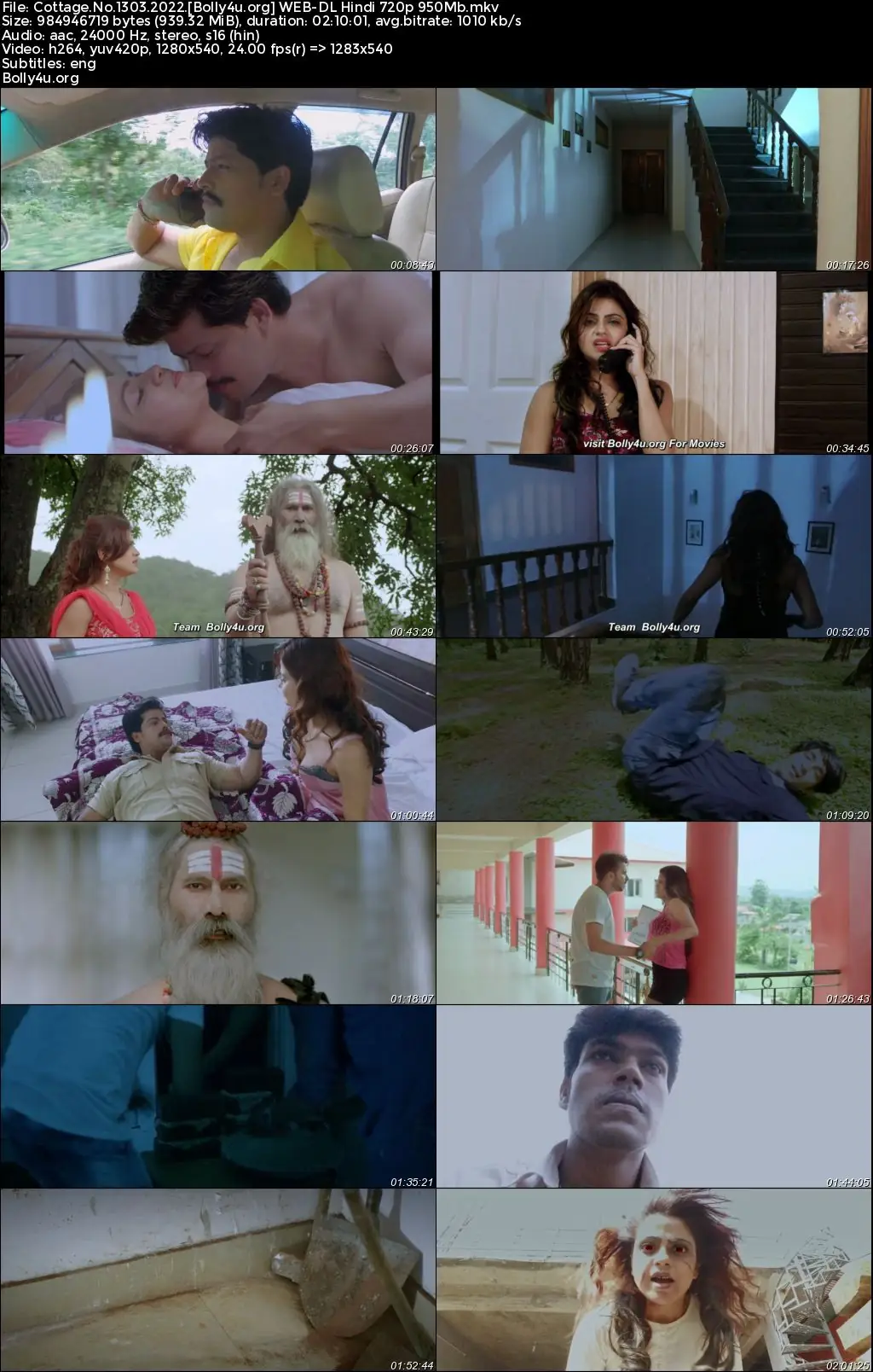Cottage No 1303 2022 WEB-DL Hindi Full Movie Download 1080p  720p  480p
