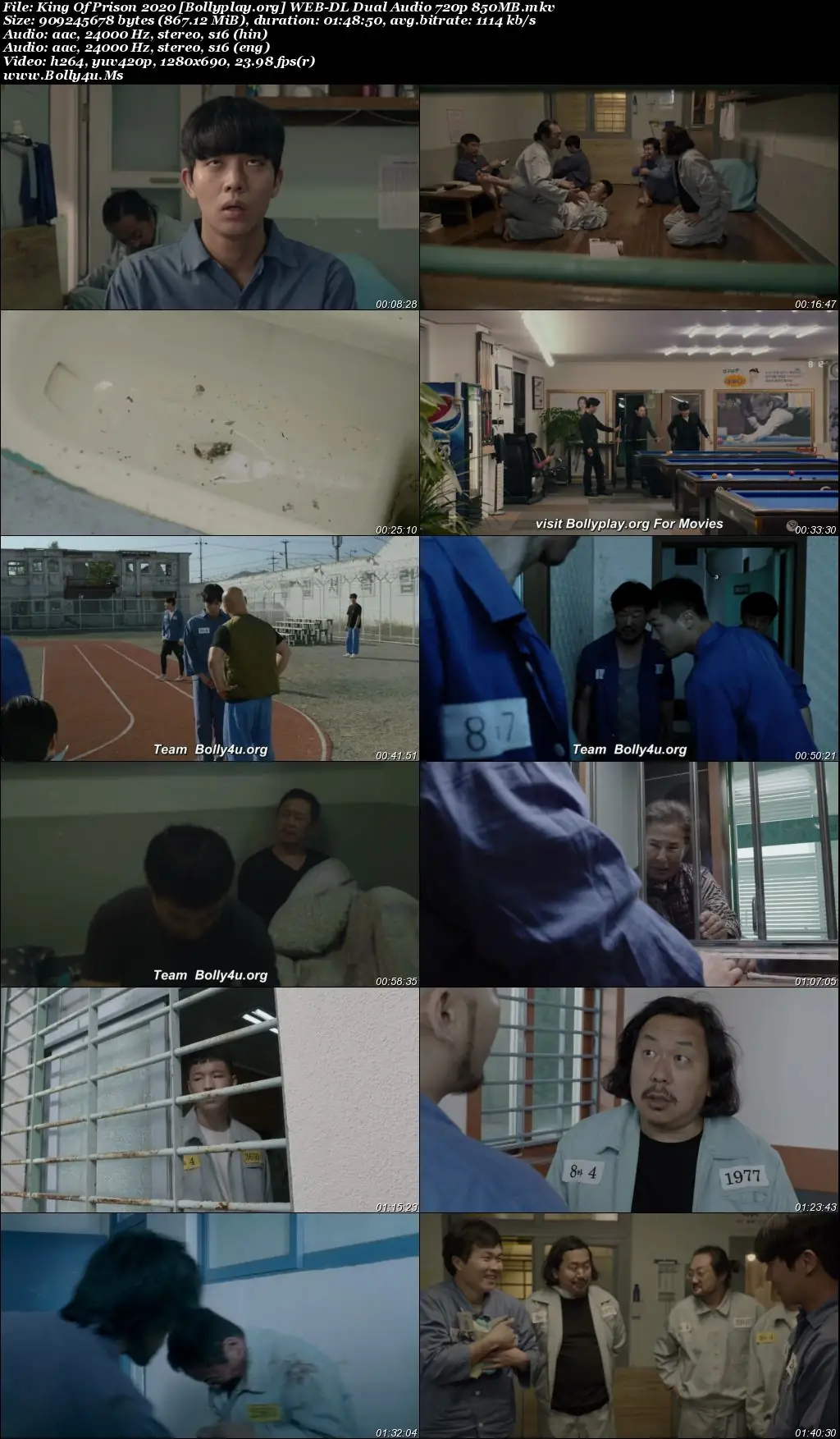 King Of Prison 2020 WEB-DL Hindi Dual Audio ORG Full Movie Download 1080p  720p  480p