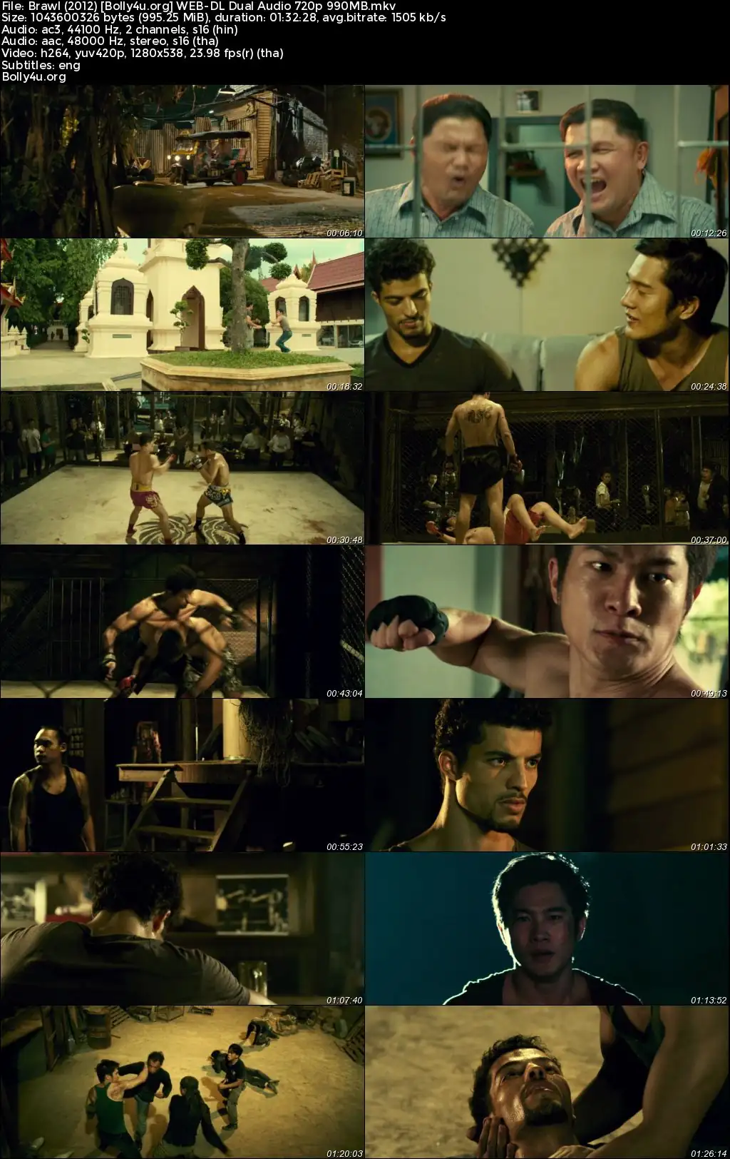 Brawl 2012 WEB-DL Hindi Dual Audio Full Movie Download 720p  480p