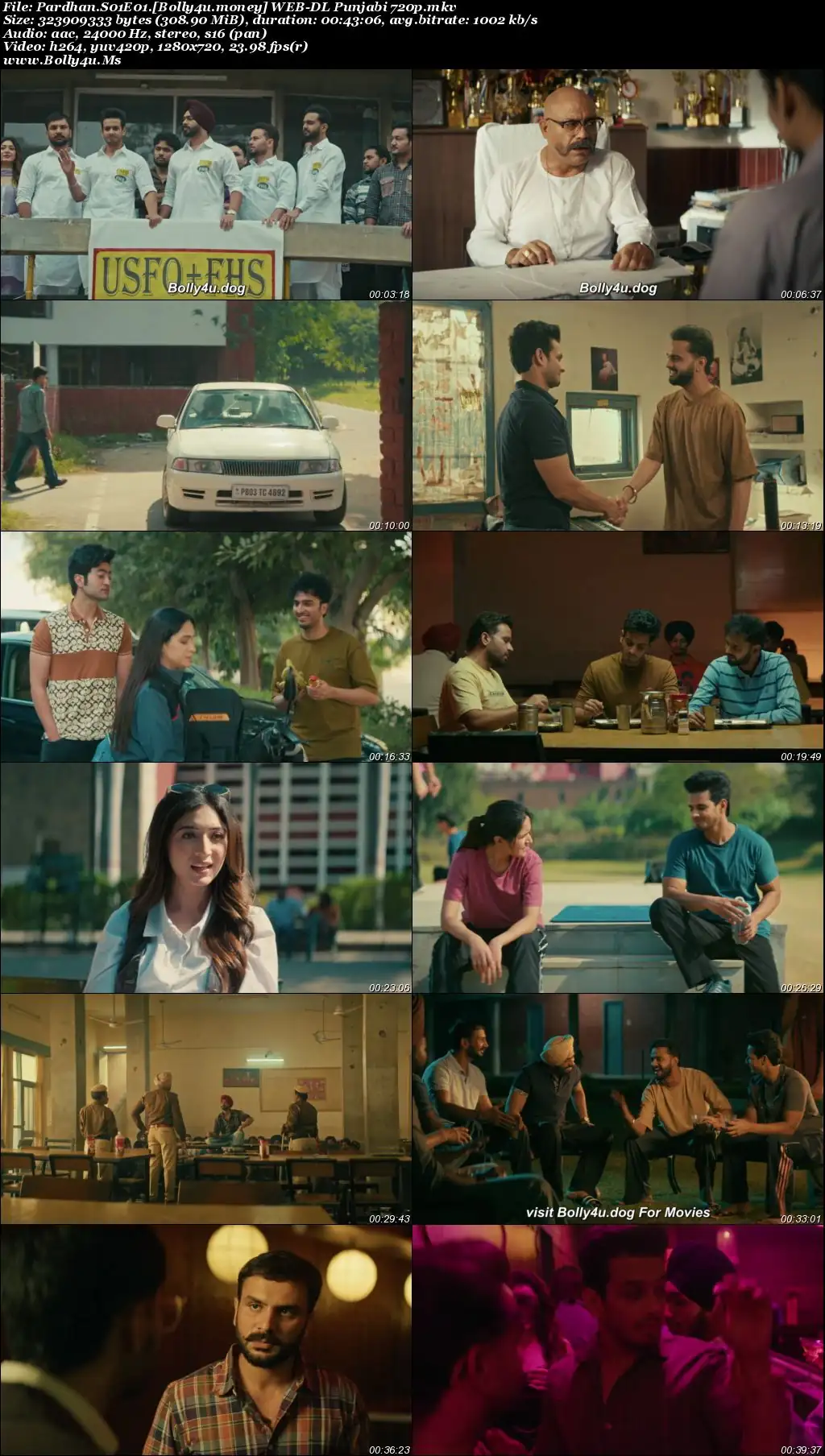 Pardhan 2026 WEB-DL Punjabi S01 Complete Download 720p  480p