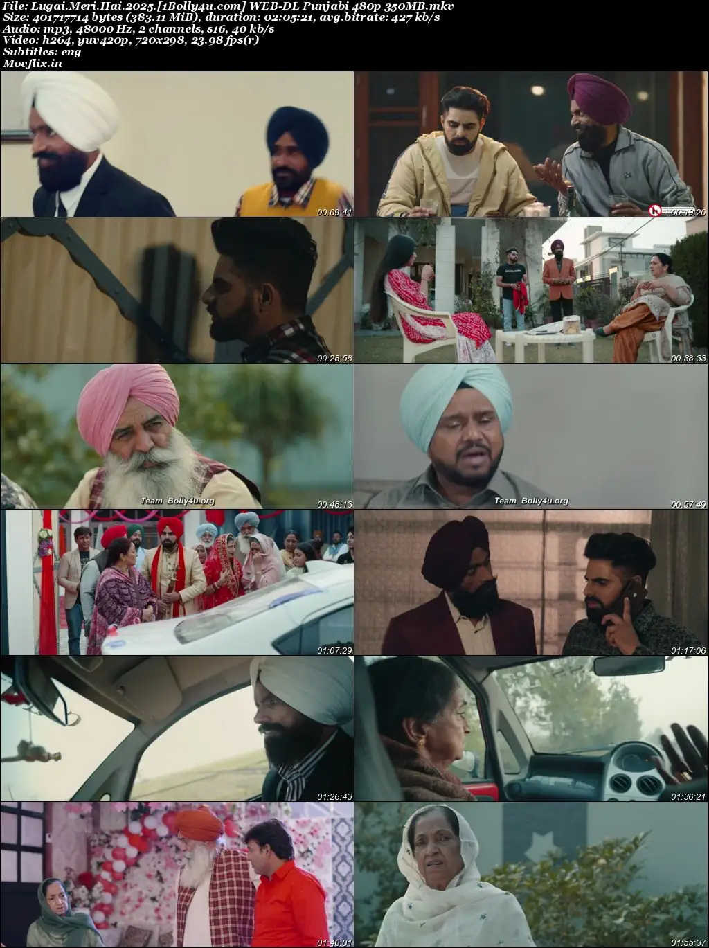 Lugai Meri Hai 2025 WEB-DL Punjabi Full Movie Download 1080p  720p  480p