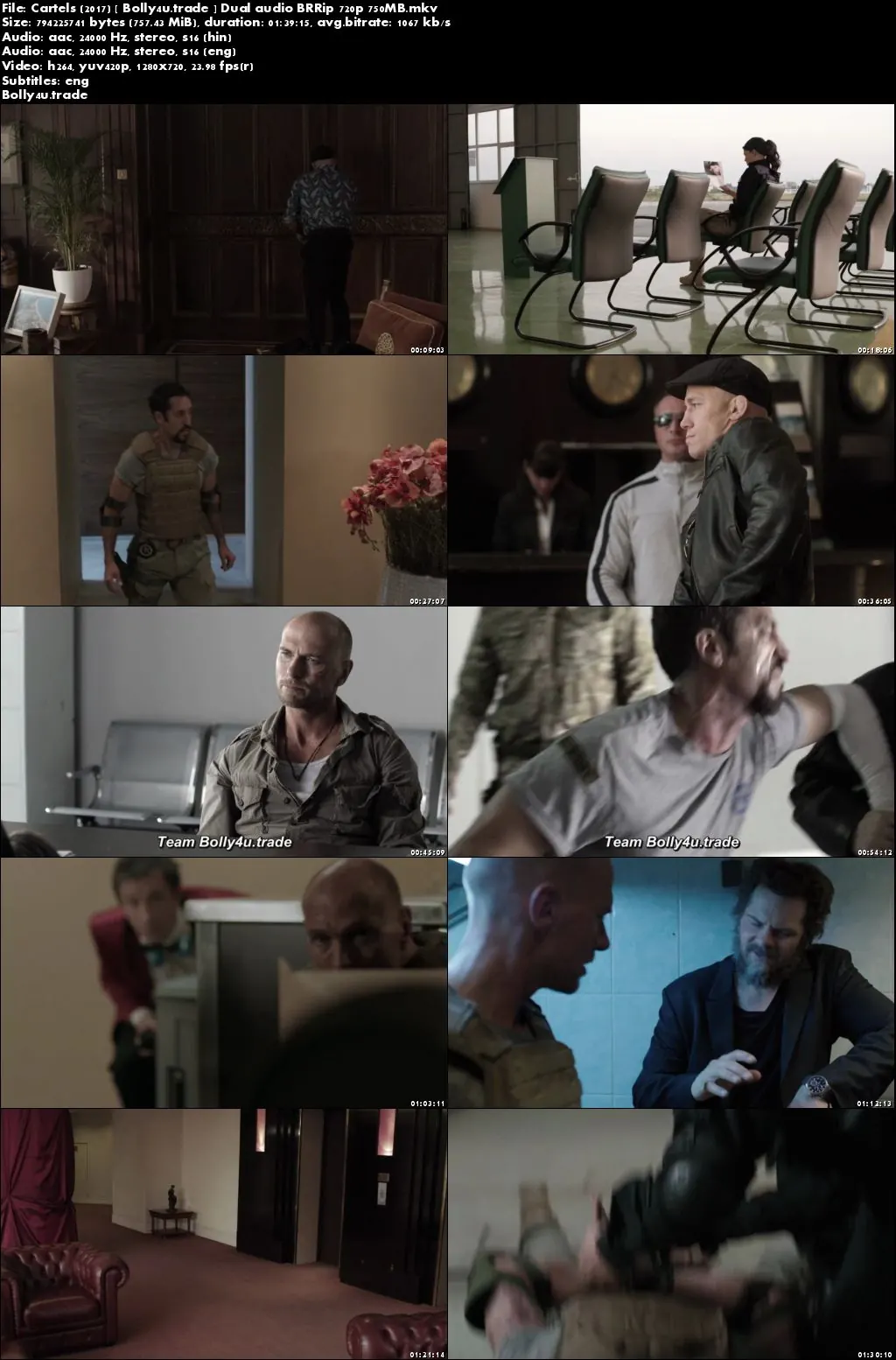 Cartels 2017 BluRay 300MB Hindi Dual Audio 480p Download