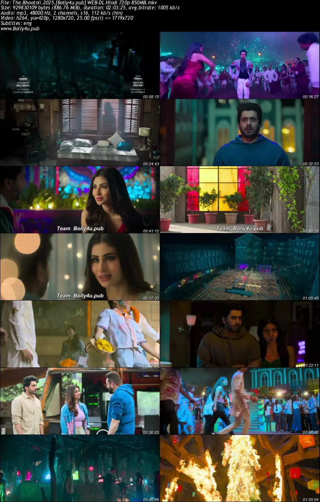 The Bhootnii 2025 WEB-DL Hindi Full Movie Download 1080p  720p  480p