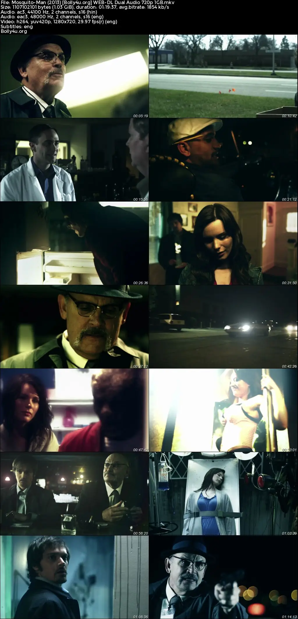 Mosquito-Man 2013 WEB-DL Hindi Dual Audio Full Movie Download 720p  480p
