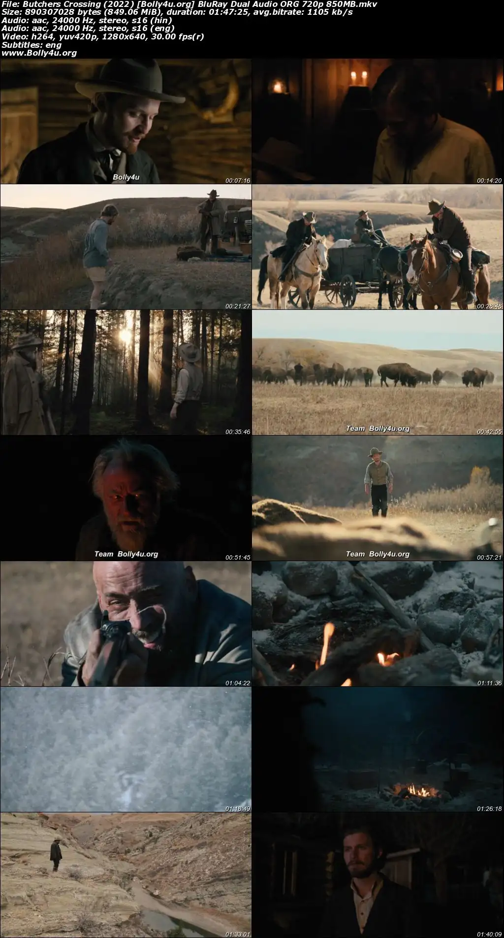Butchers Crossing 2022 BluRay Hindi Dual Audio ORG Full Movie Download 1080p  720p  480p