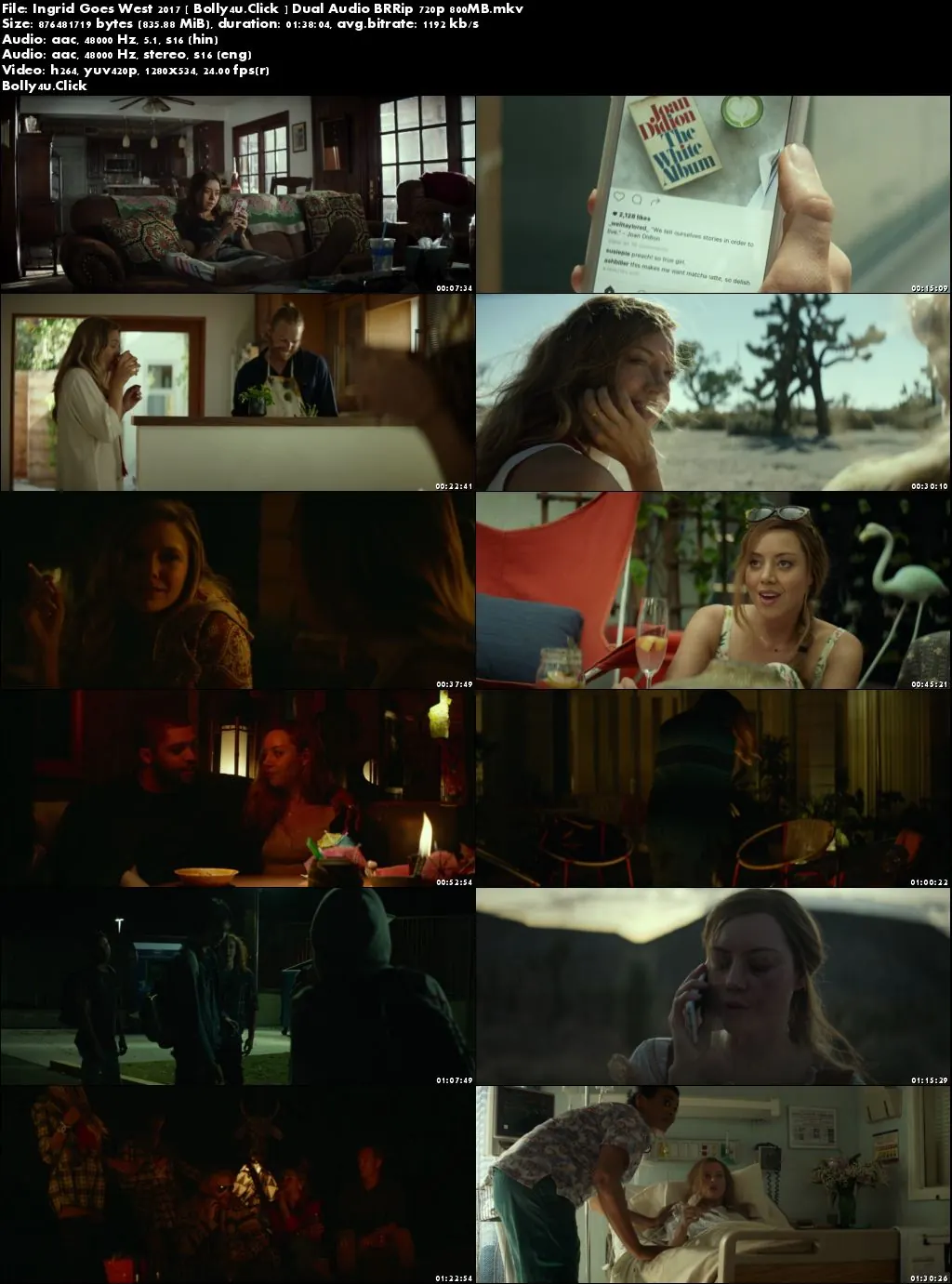 Ingrid Goes West 2017 BRRip 300Mb Hindi Dual Audio 480p Download