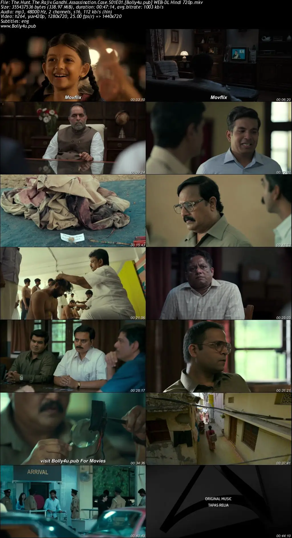 The Hunt The Rajiv Gandhi Assassination Case 2025 WEB-DL Hindi S01 Complete Download 720p  480p