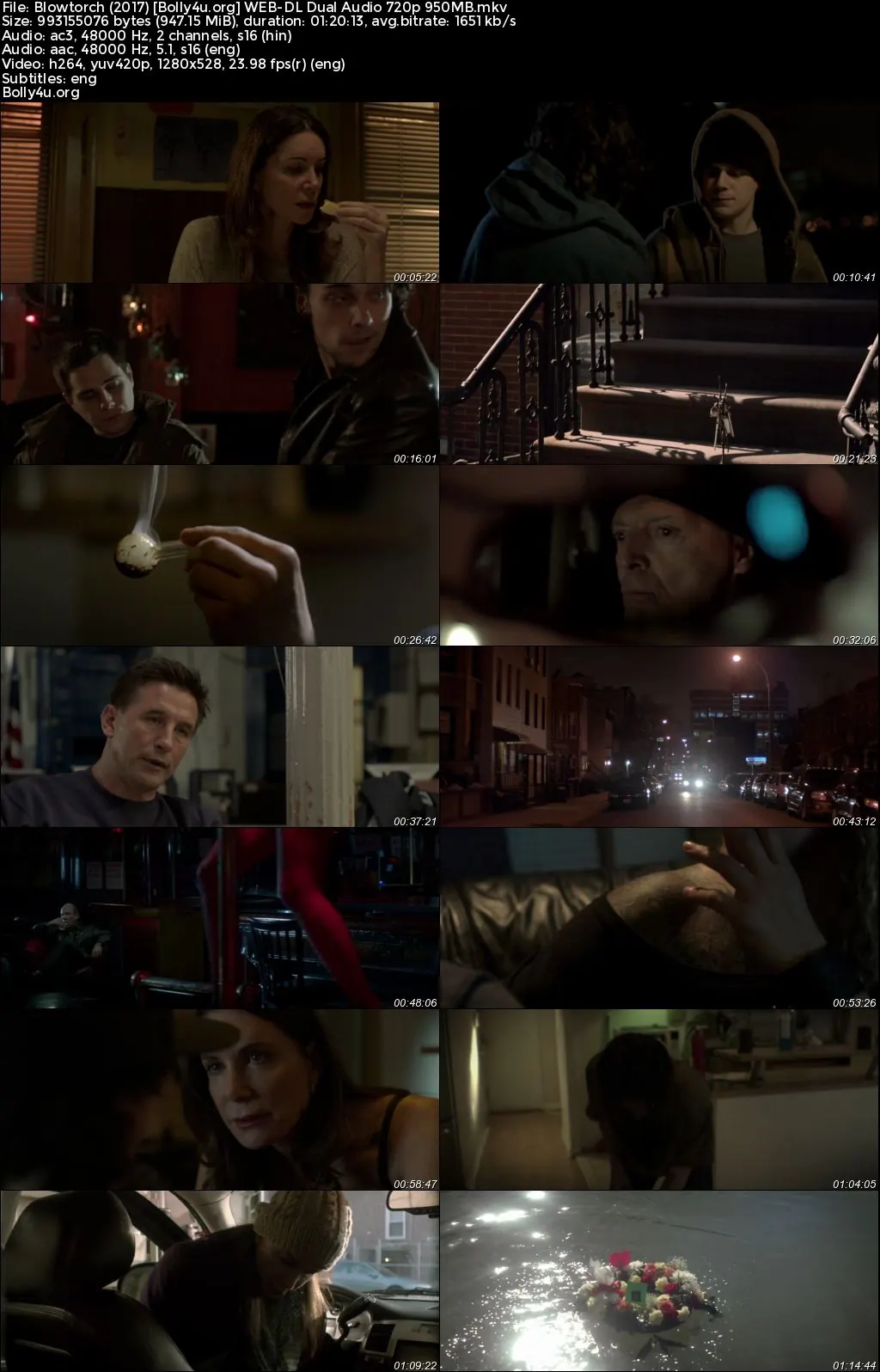 Blowtorch 2017 WEB-DL Hindi Dual Audio Full Movie Download 720p  480p