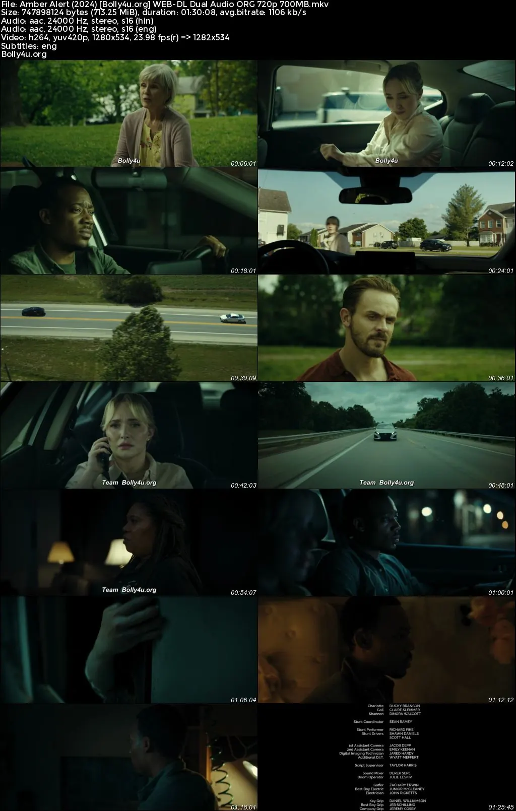 Amber Alert 2024 WEB-DL Hindi Dual Audio ORG Full Movie Download 1080p  720p  480p