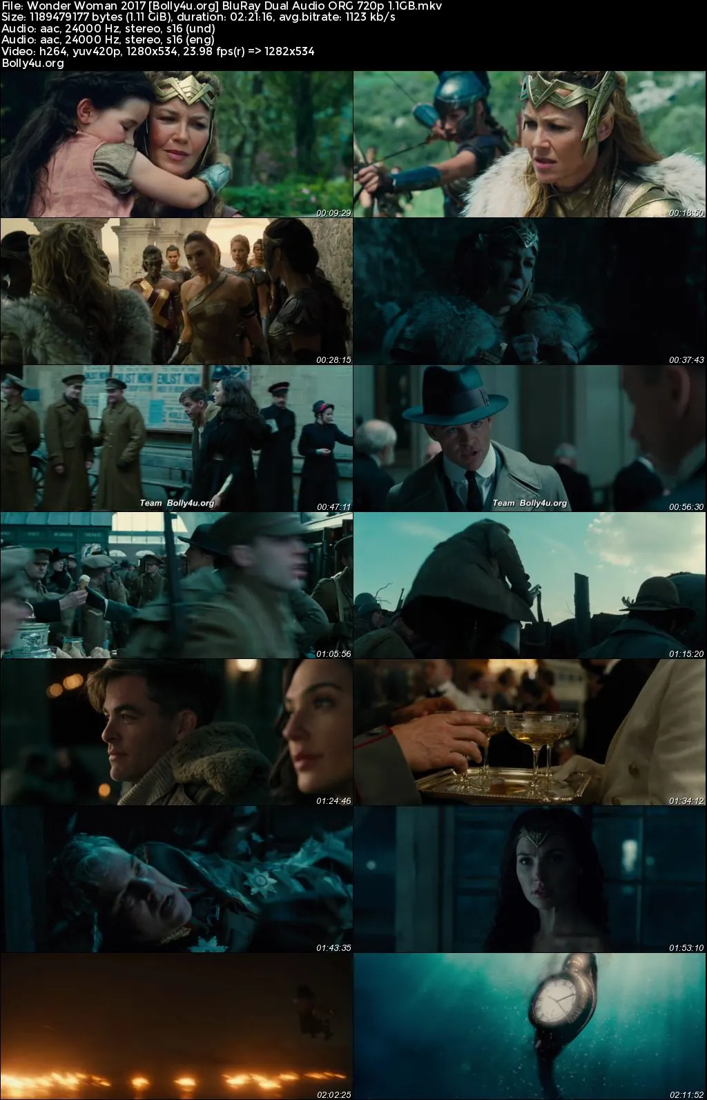 Wonder Woman 2017 BluRay Hindi Dual Audio ORG Full Movie Download 1080p  720p  480p