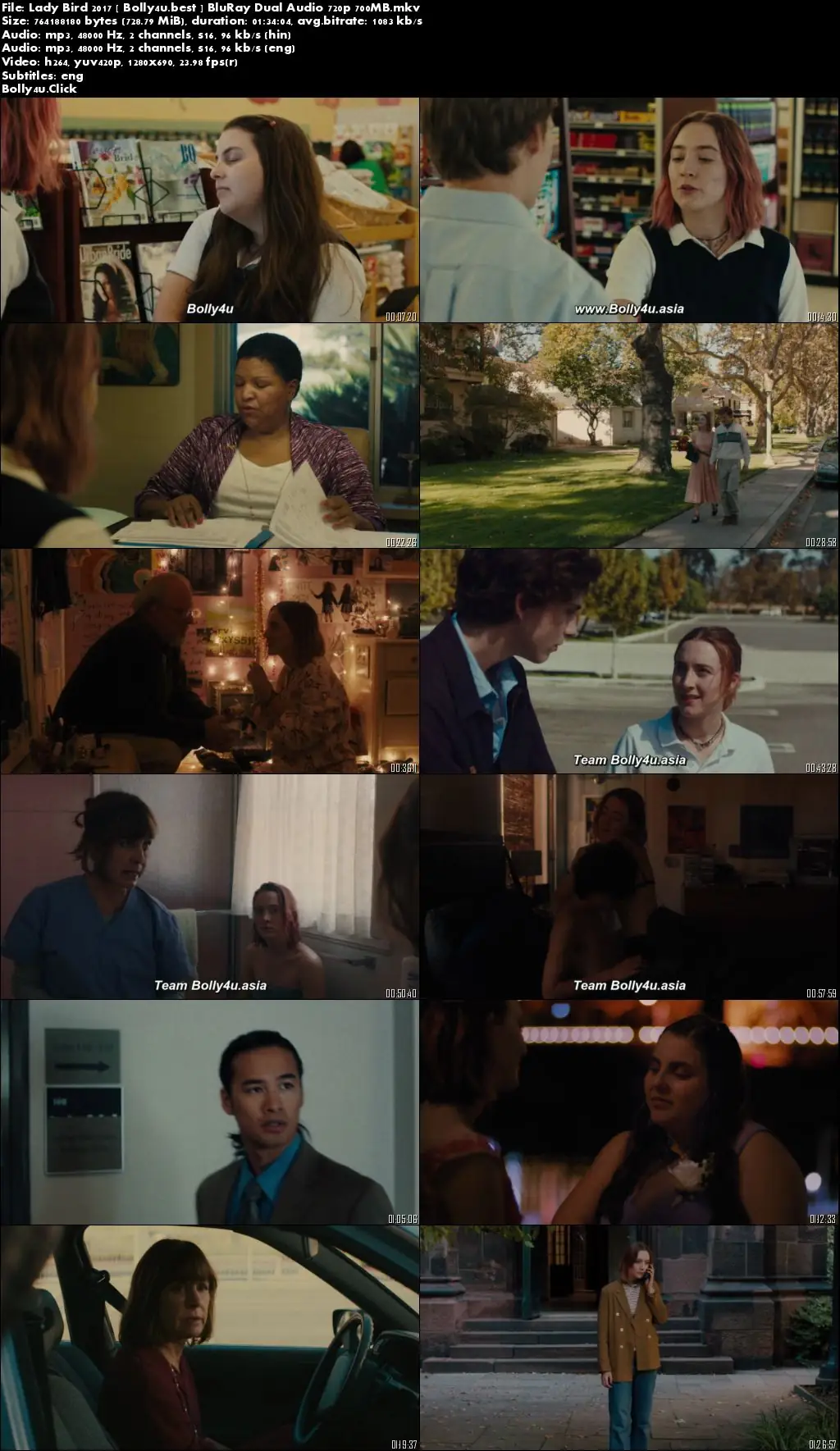 Lady Bird 2017 BluRay 700MB Hindi Dual Audio 720p Download