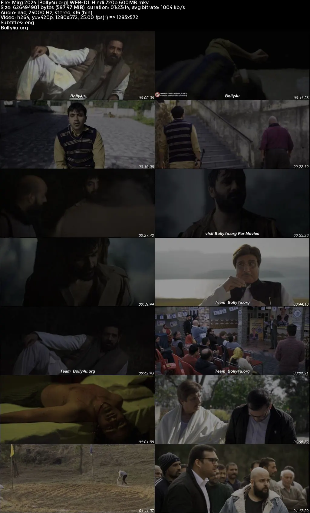 Mirg 2024 WEB-DL Hindi Full Movie Download 1080p  720p  480p