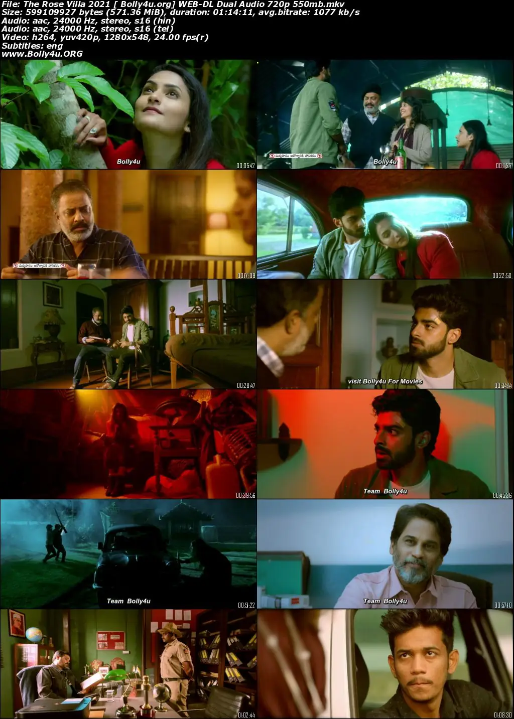 The Rose Villa 2021 WEB-DL 550MB Hindi Dual Audio 720p Download