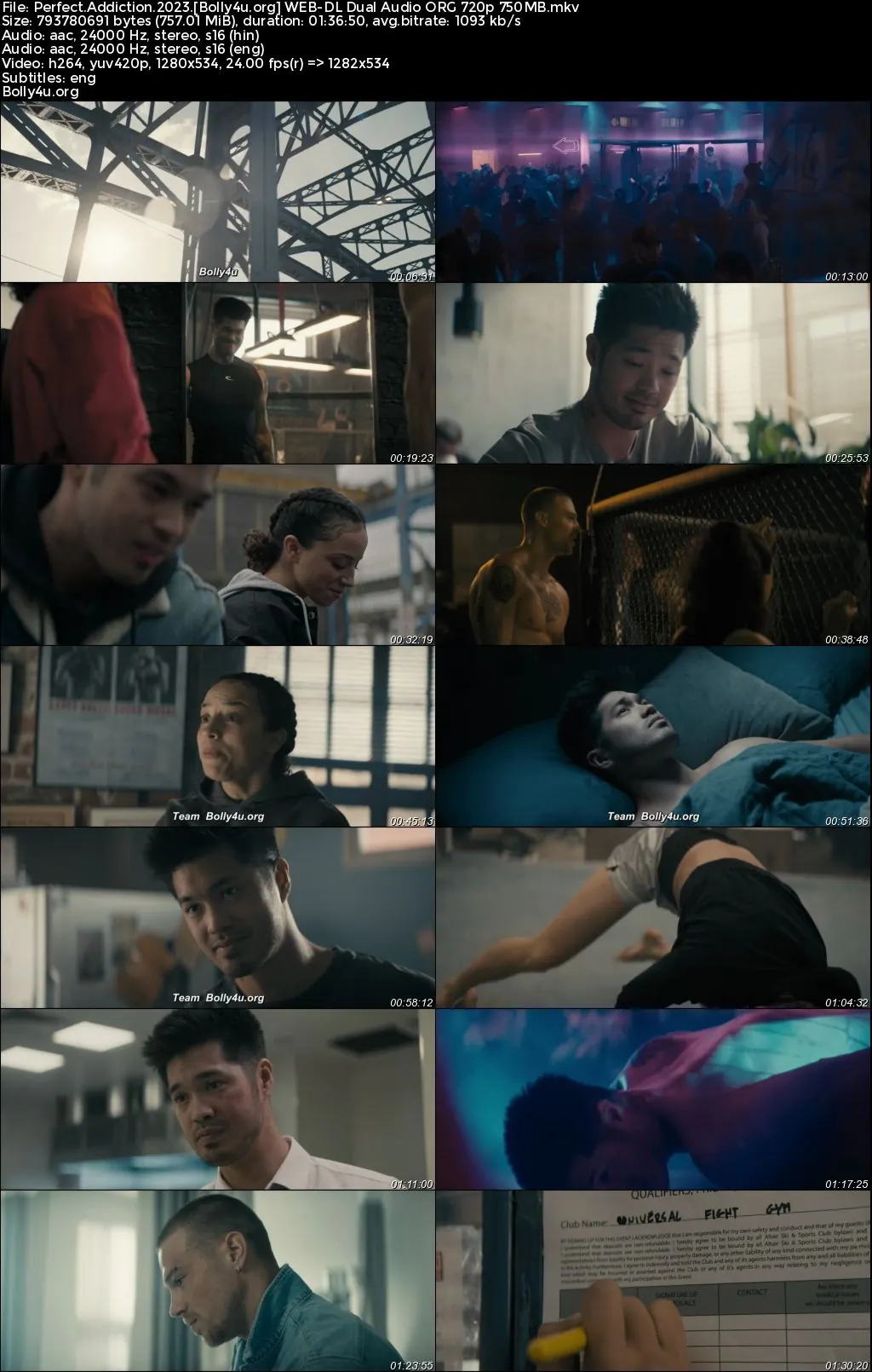 Perfect Addiction 2023 WEB-DL Hindi Dual Audio ORG Full Movie Download 1080p  720p  480p