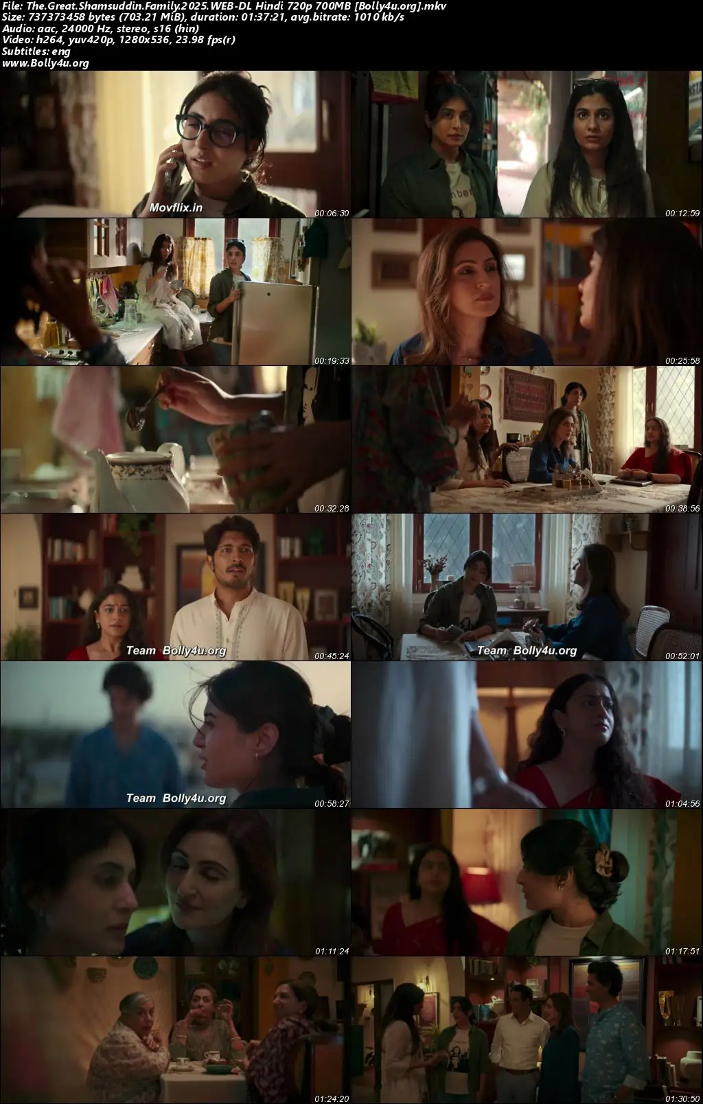 The Great Shamsuddin Family 2025 WEB-DL Hindi Full Movie Download 1080p  720p  480p