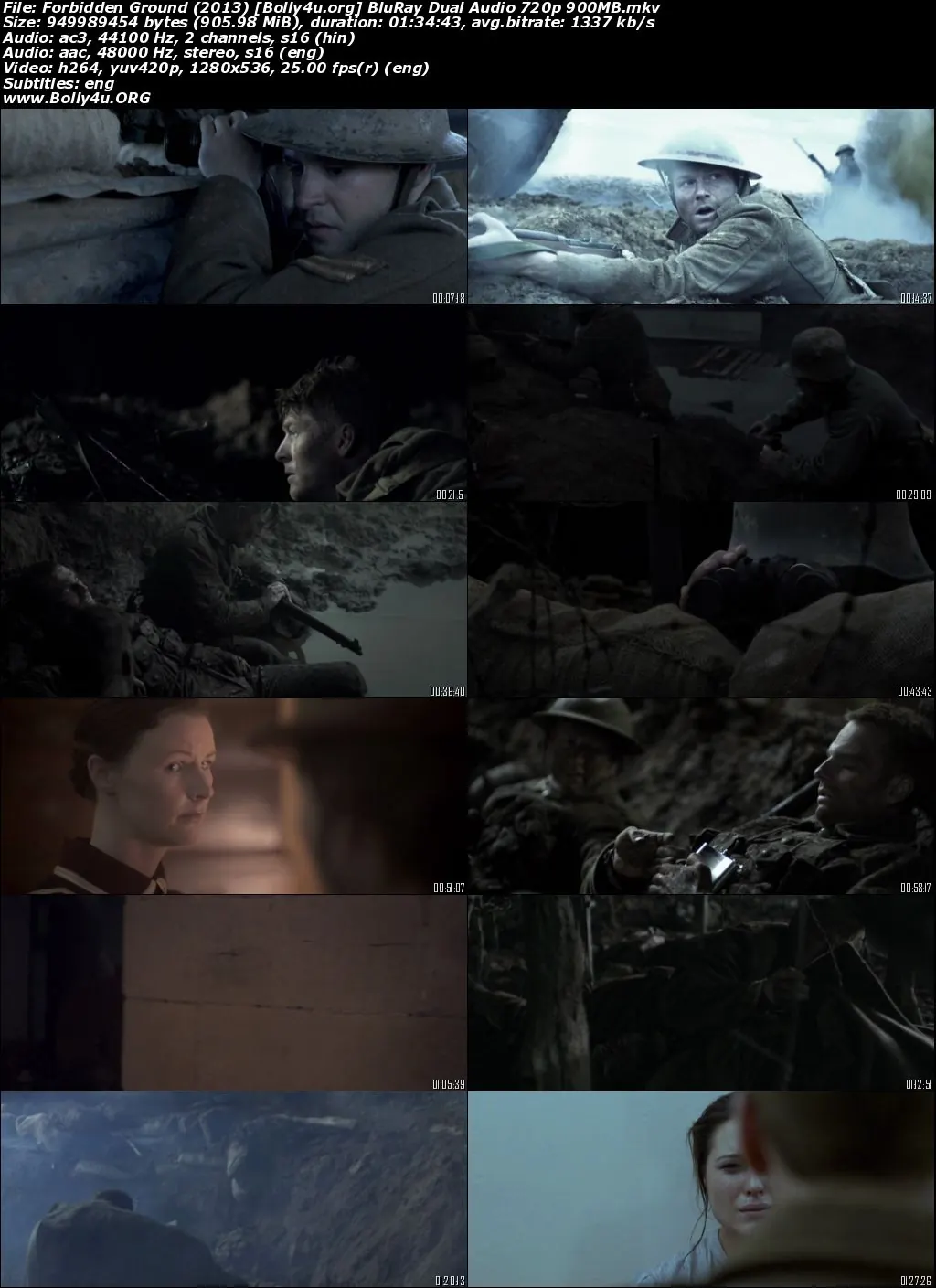 Forbidden Ground 2013 BluRay Hindi Dual Audio Full Movie Download
