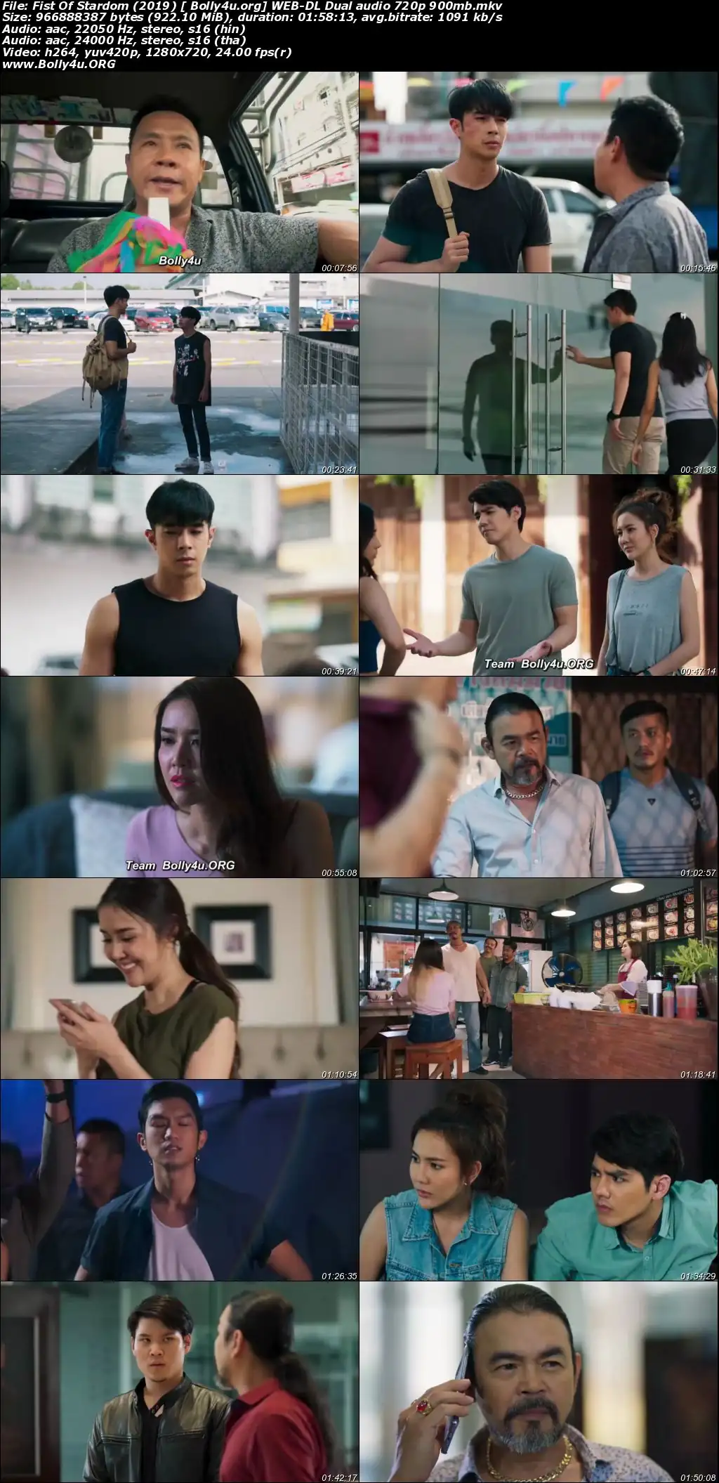 Fist Of Stardom 2019 WEB-DL 400Mb Hindi Dual Audio 480p Download